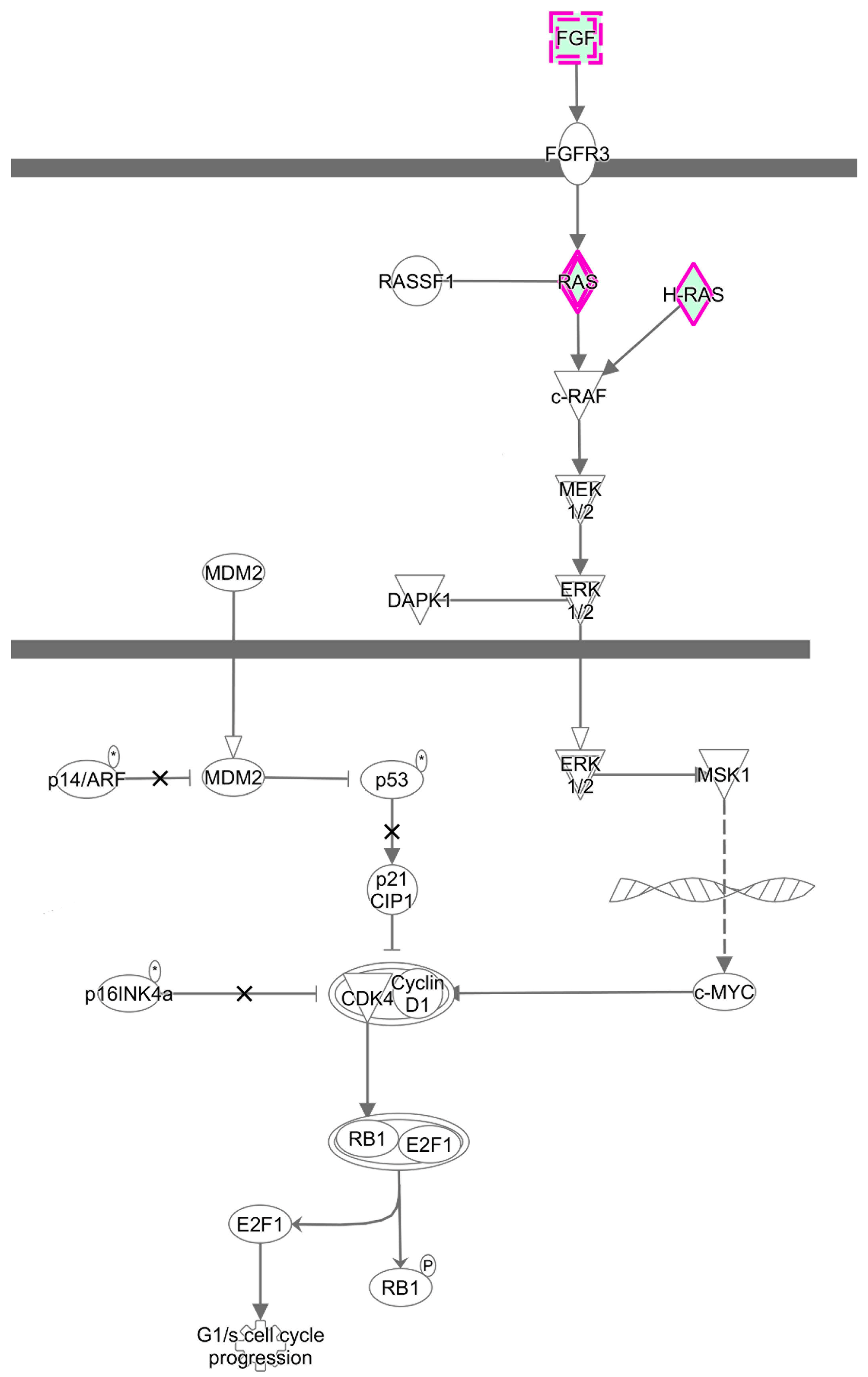 Ijerph 16 01517 g007