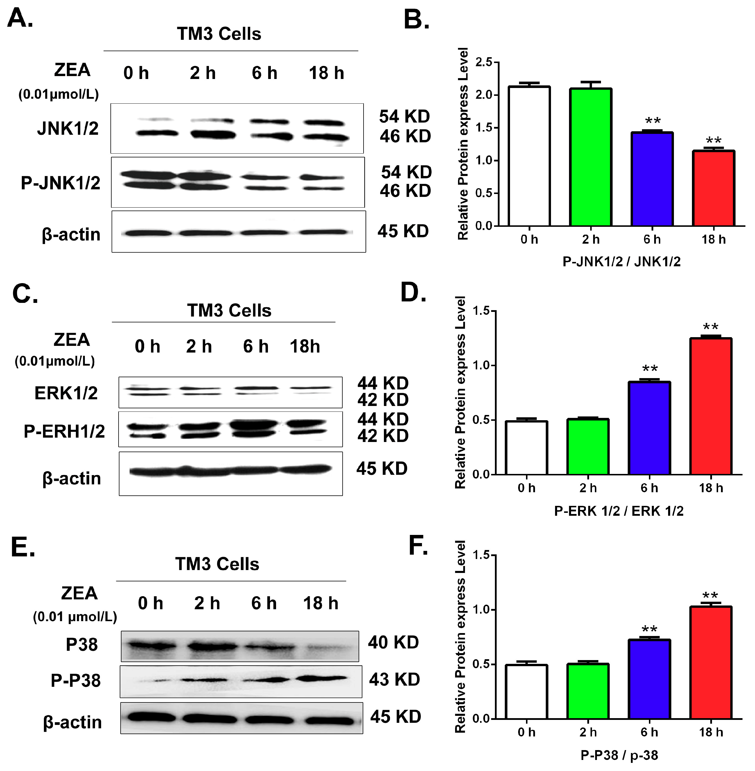 Ijerph 16 01517 g010