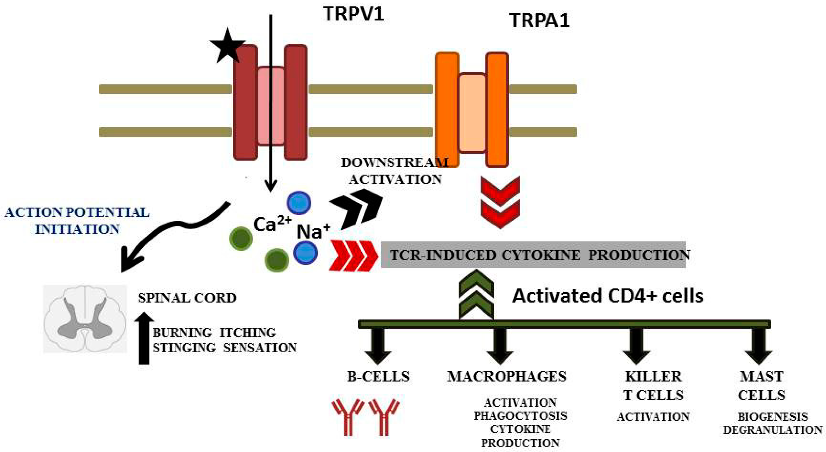 Ijerph 16 01519 g004 550