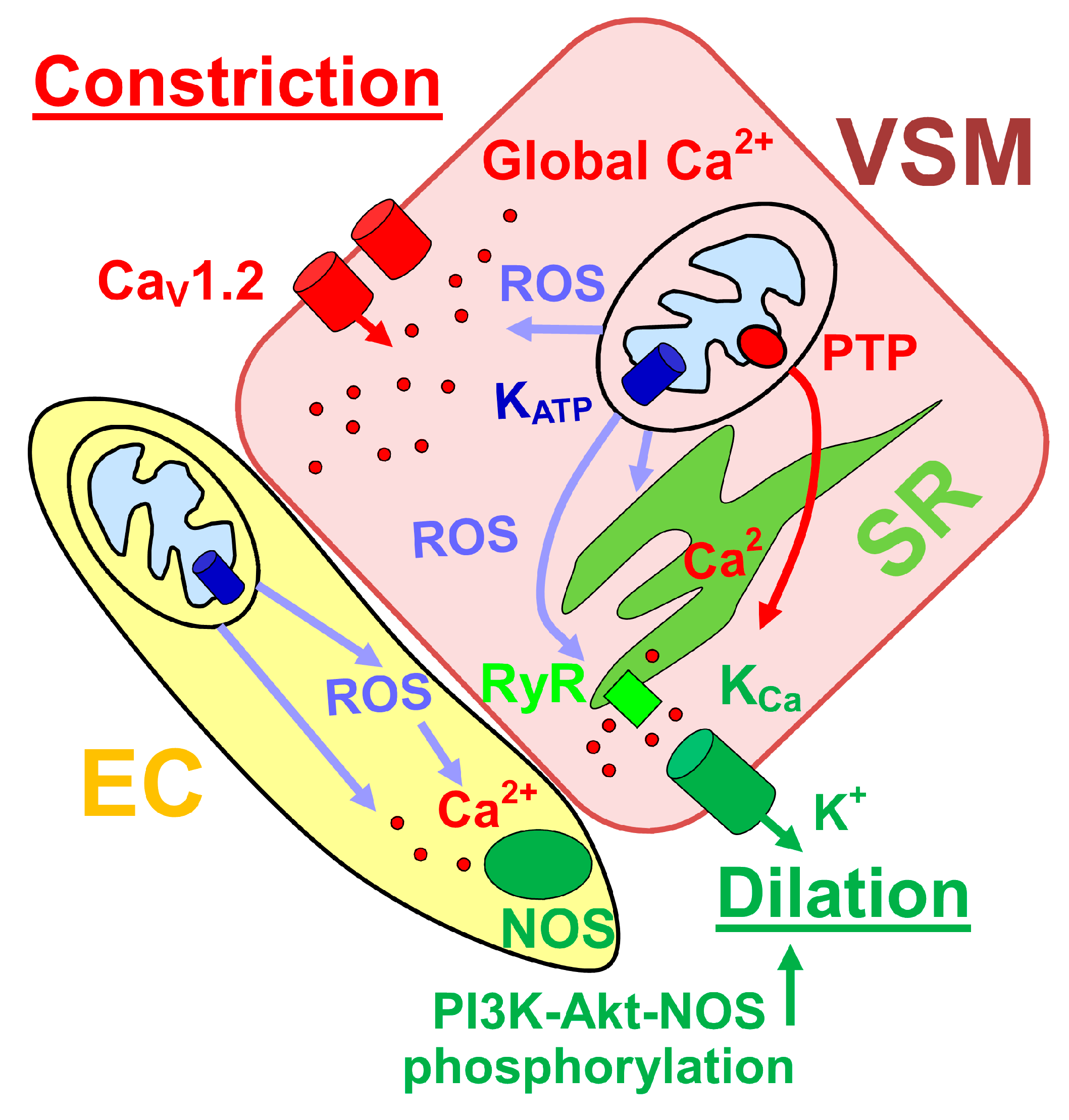 Ijerph 16 01586 g002