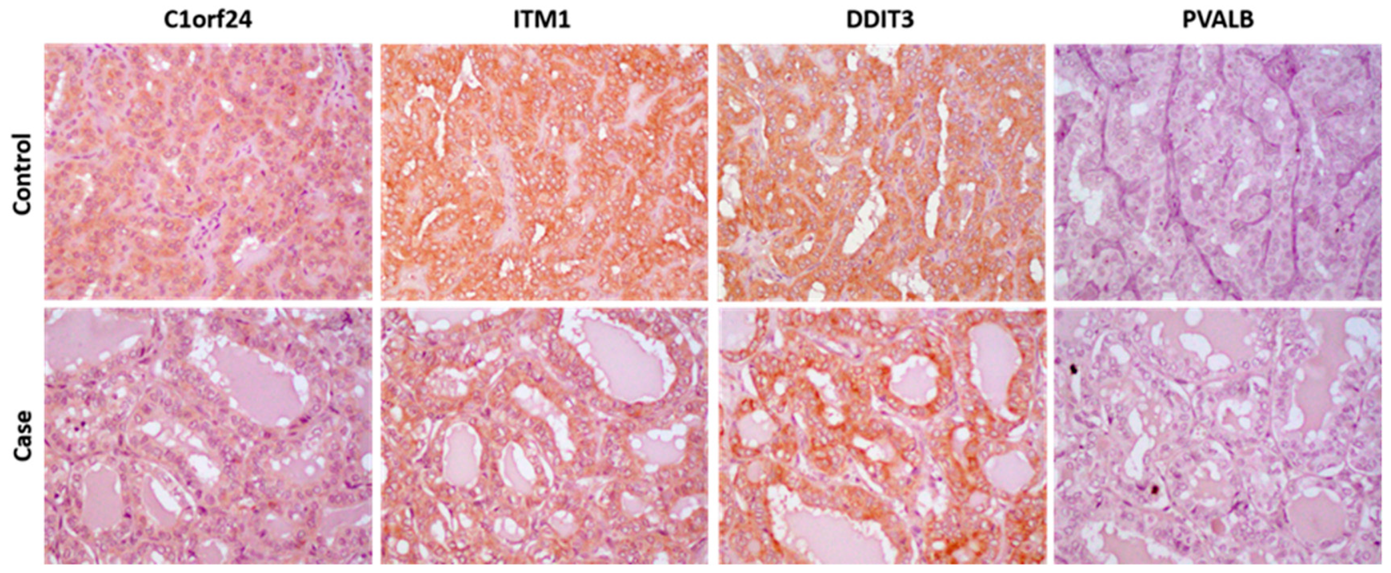 Ijerph 16 01600 g002