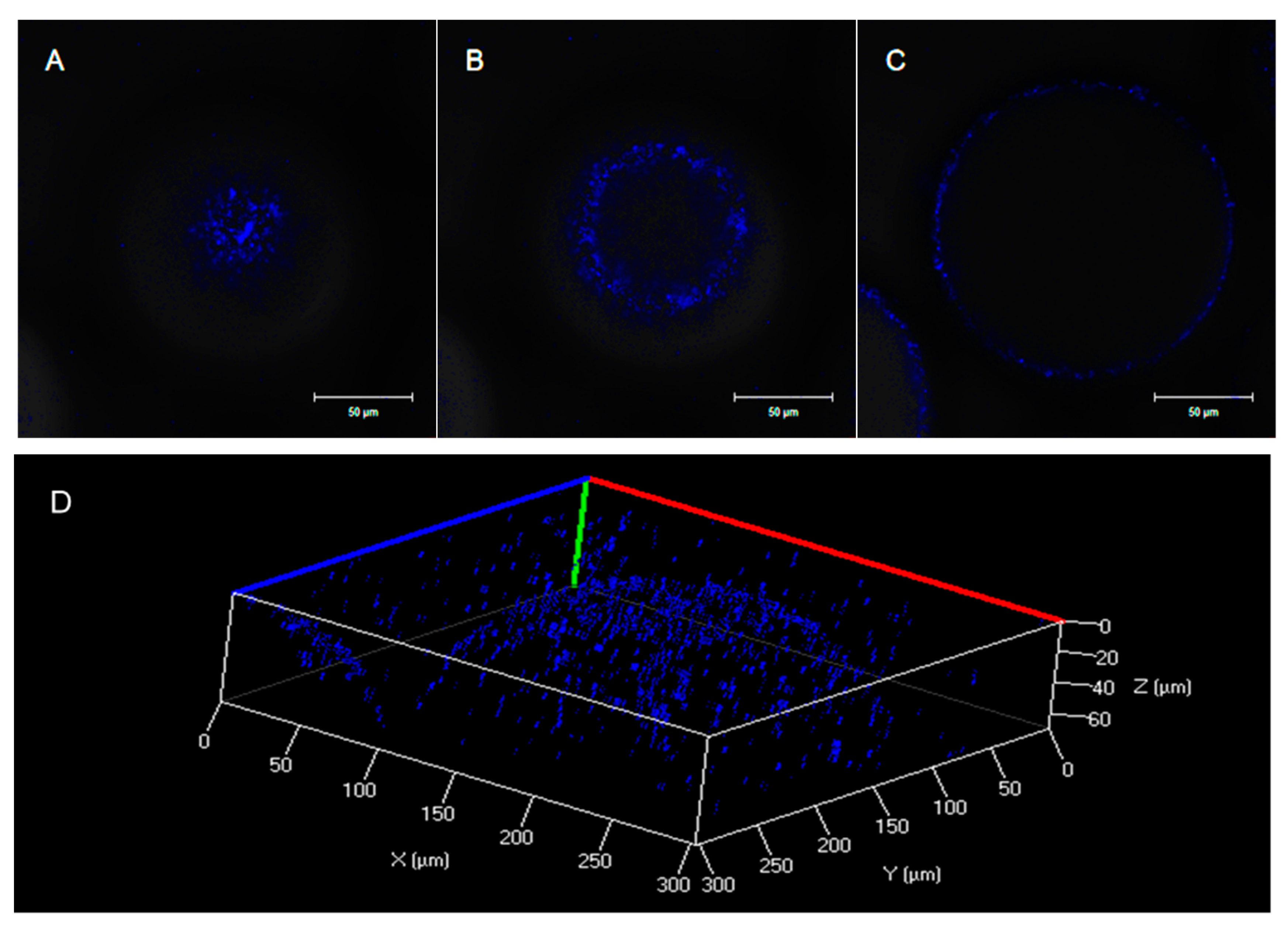 Ijerph 16 01629 g003
