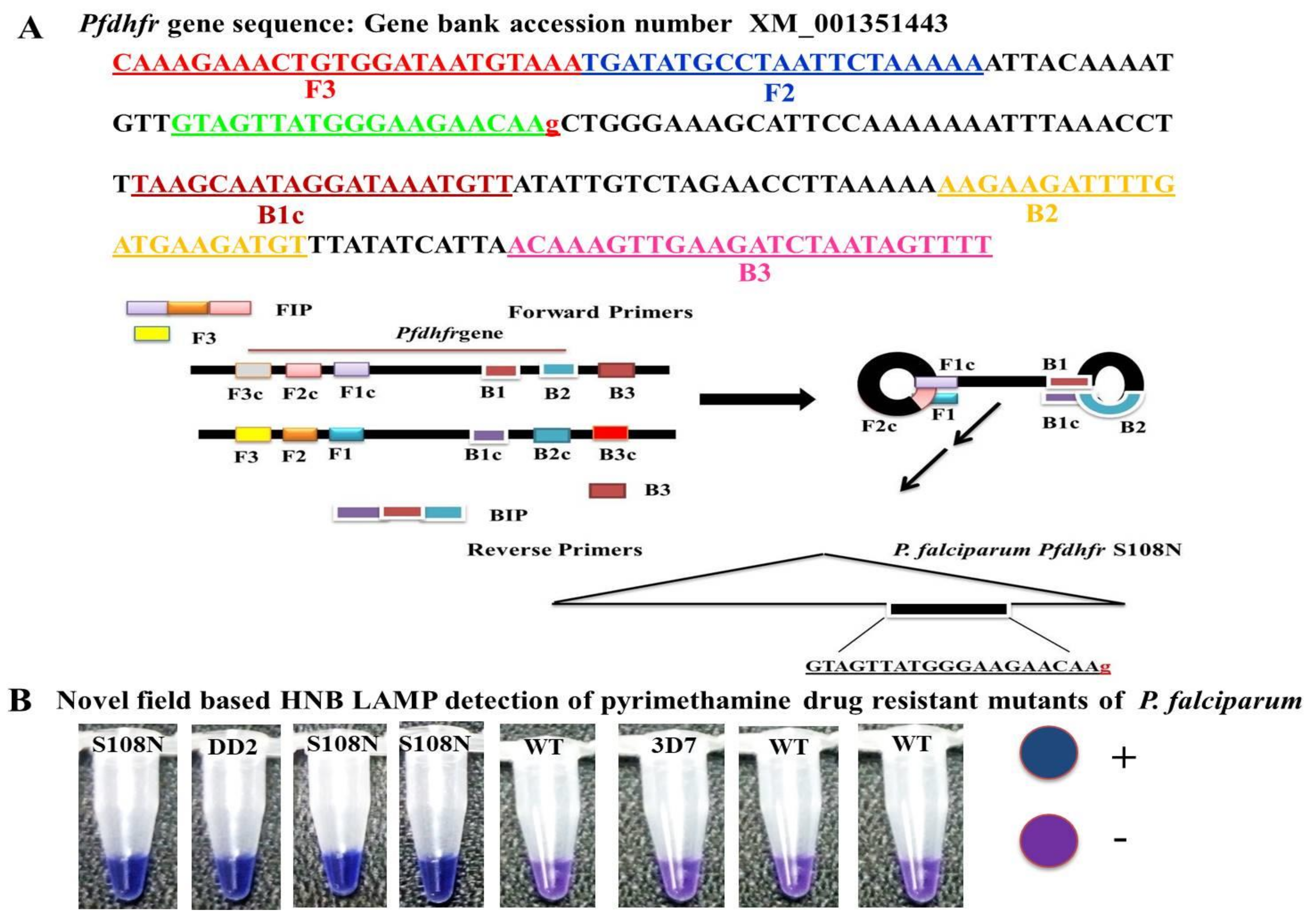 Ijerph 16 01635 g001