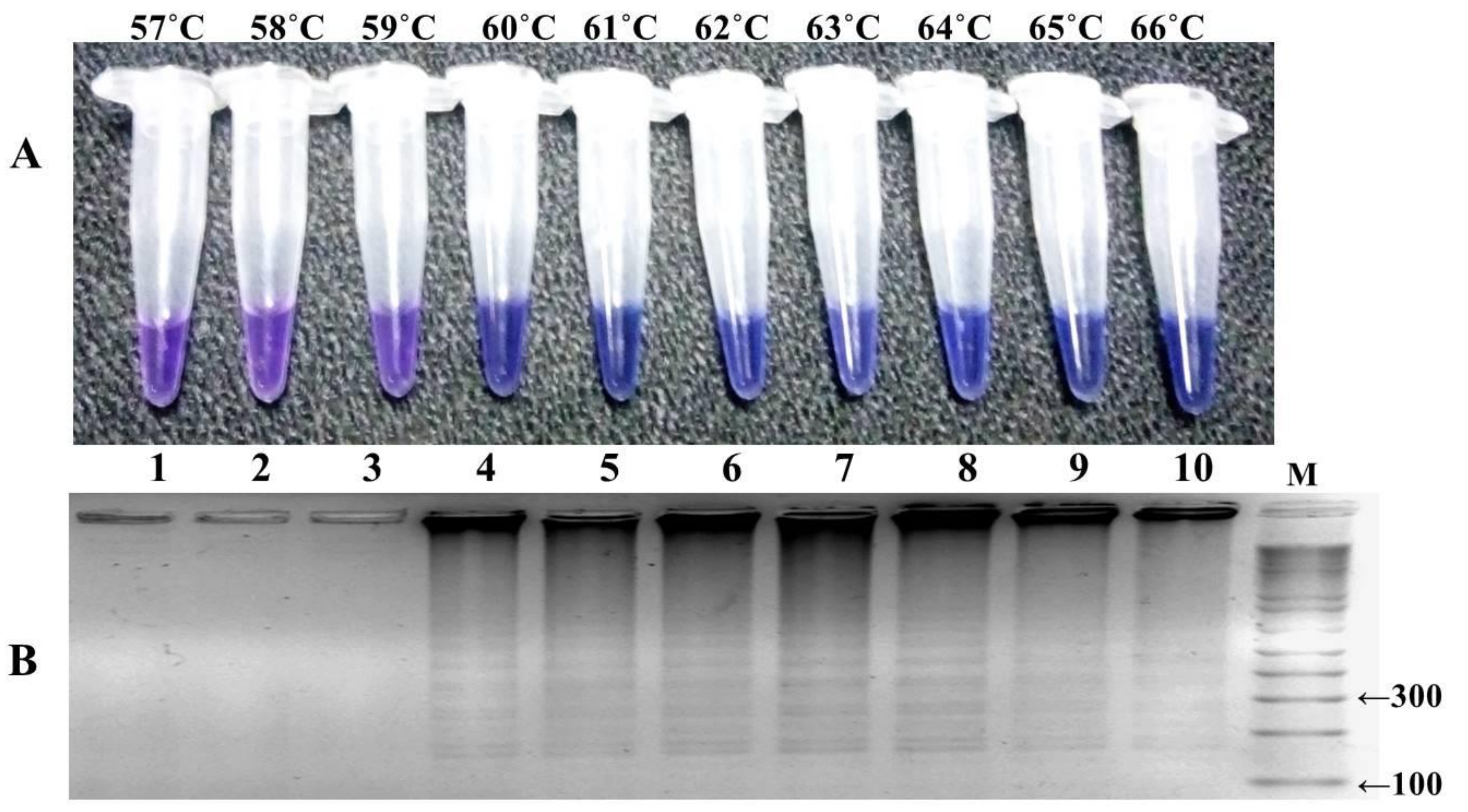 Ijerph 16 01635 g004