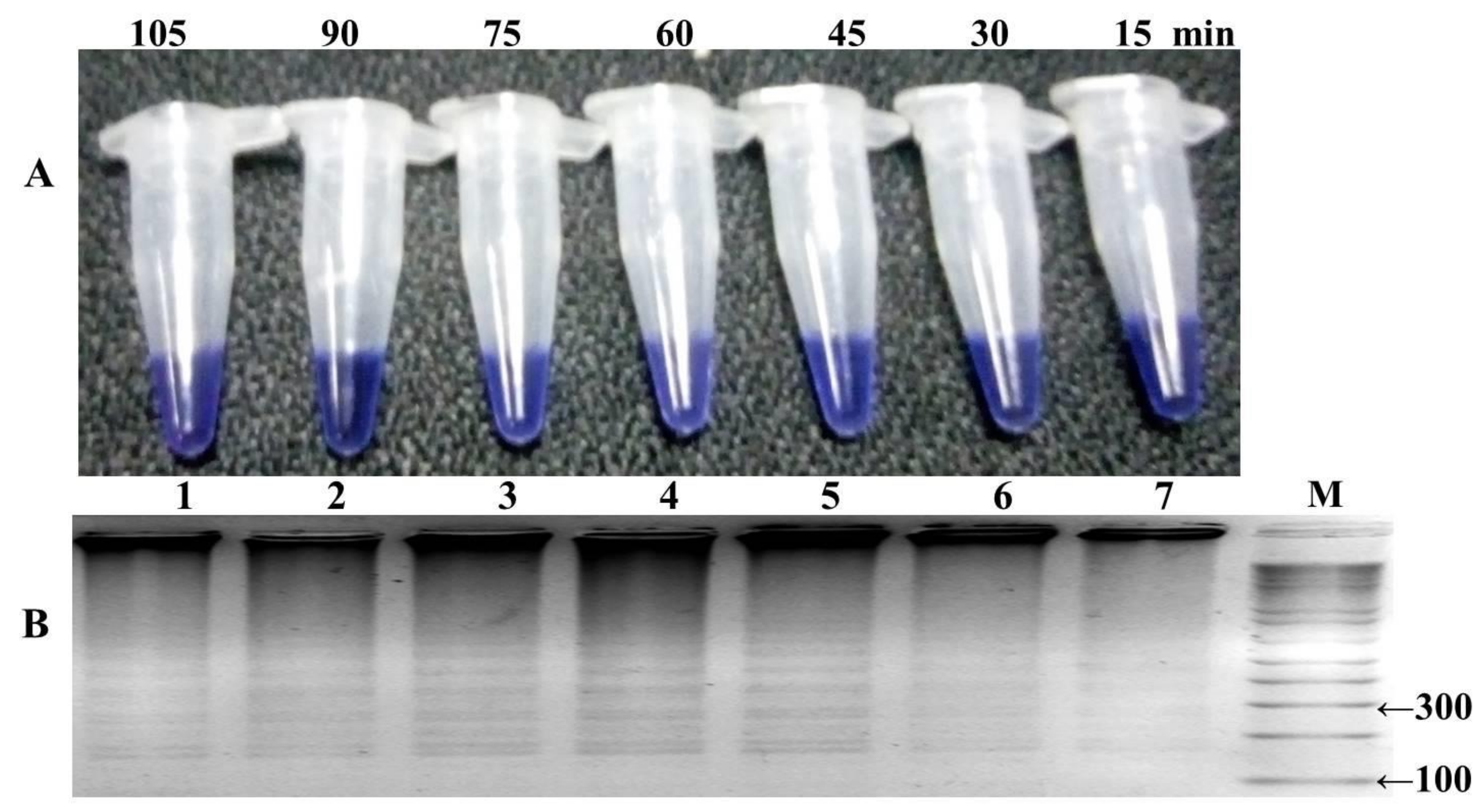 Ijerph 16 01635 g005