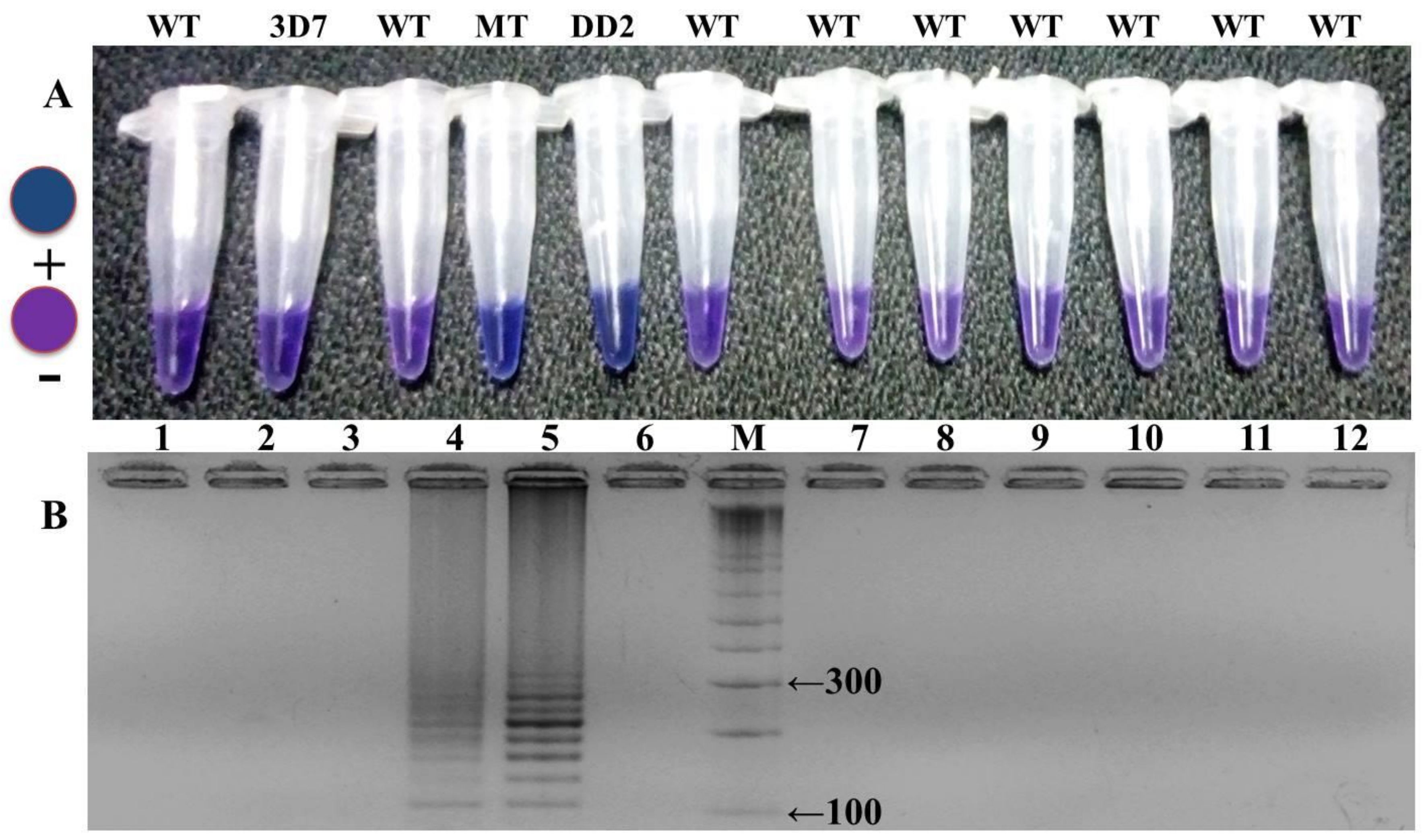Ijerph 16 01635 g006