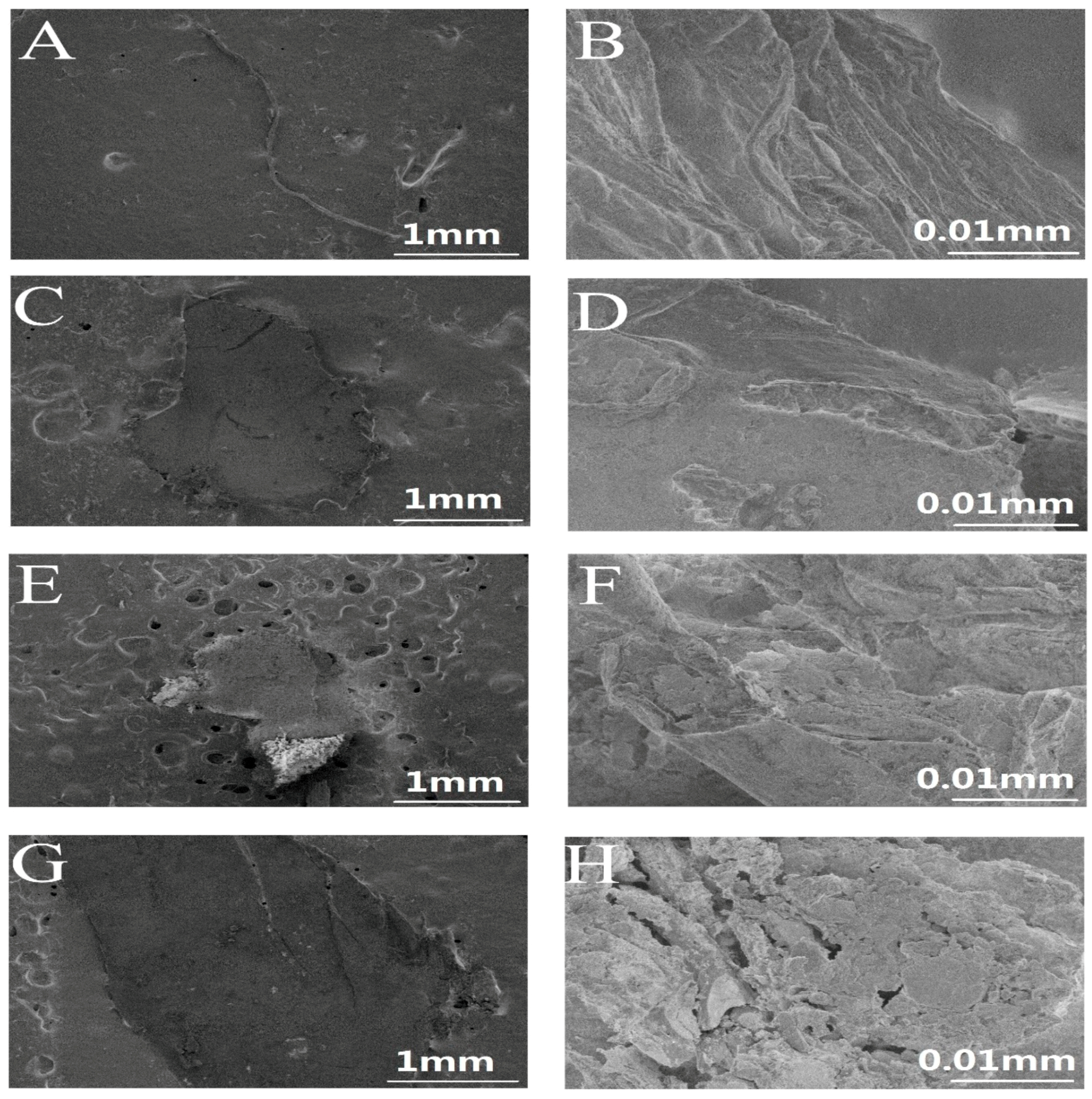 Ijerph 16 01650 g004