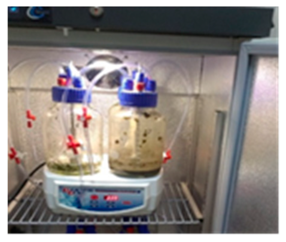 Ijerph 16 01889 g002 Ijerph 16 01889 g002