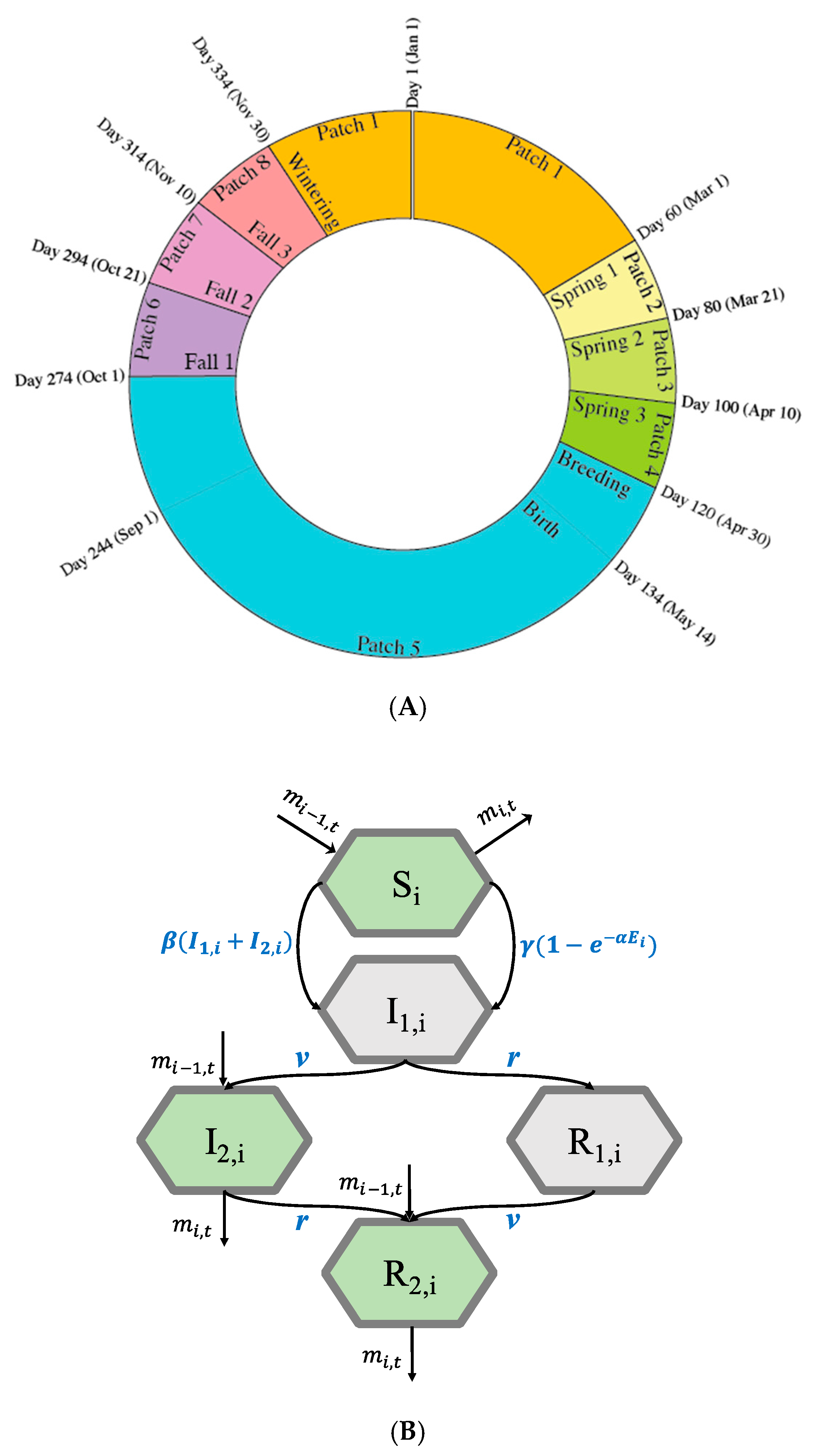 Ijerph Free Full Text The Impact Of Environmental Transmission And Epidemiological Features On The Geographical Translocation Of Highly Pathogenic Avian Influenza Virus Html Ijerph Free Full Text The Impact Of Environmental Transmission And Epidemiological Features On The Geographical Translocation Of Highly Pathogenic Avian Influenza Virus Html
