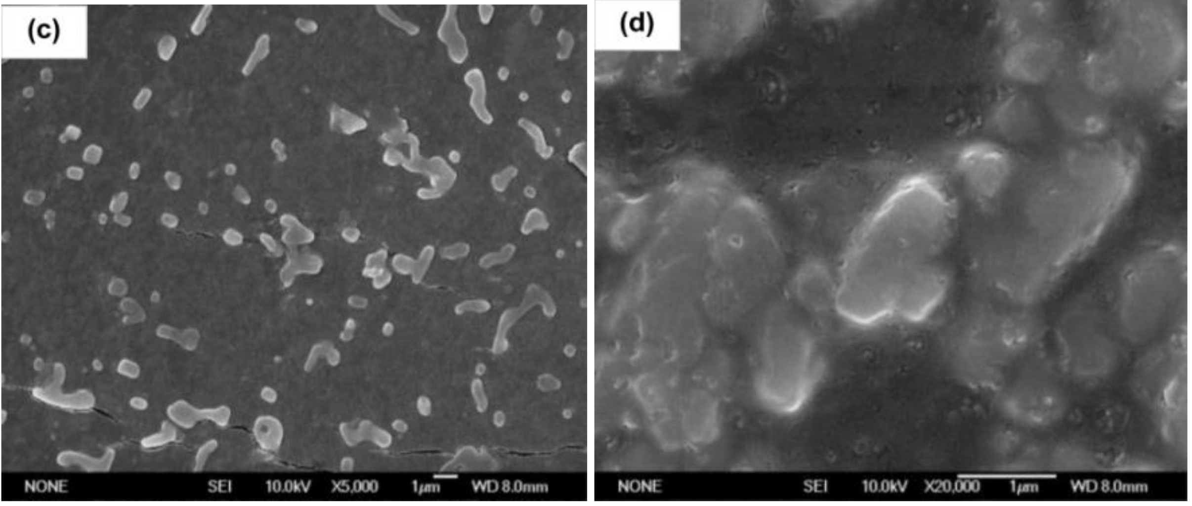 Ijerph 16 01941 g002b Ijerph 16 01941 g002b