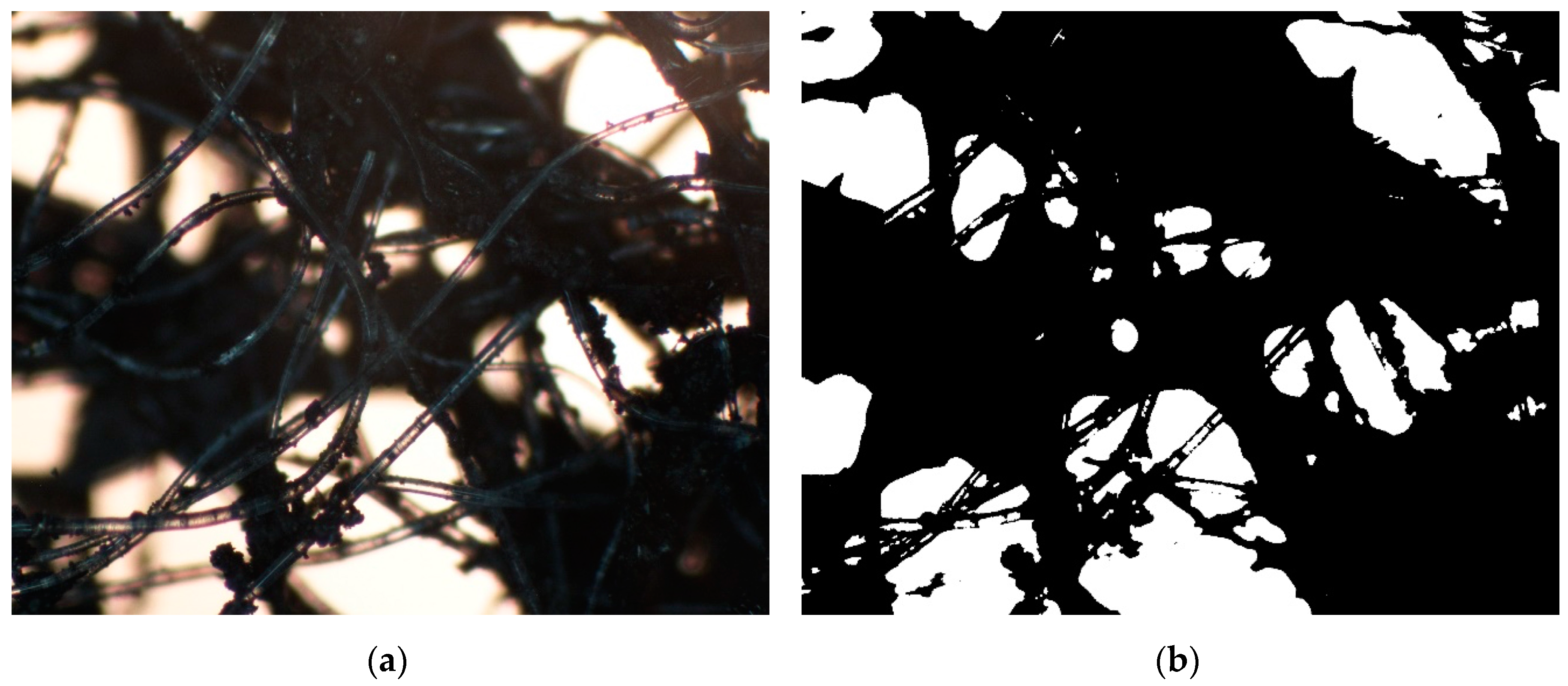 Ijerph 16 01973 g001