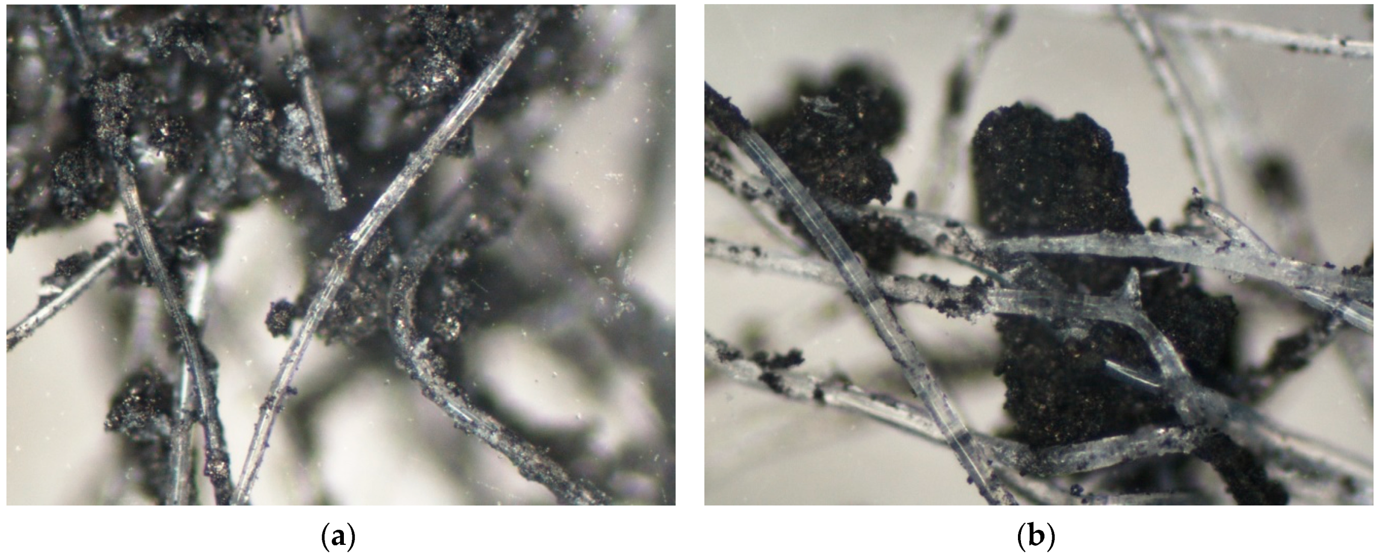 Ijerph 16 01973 g003