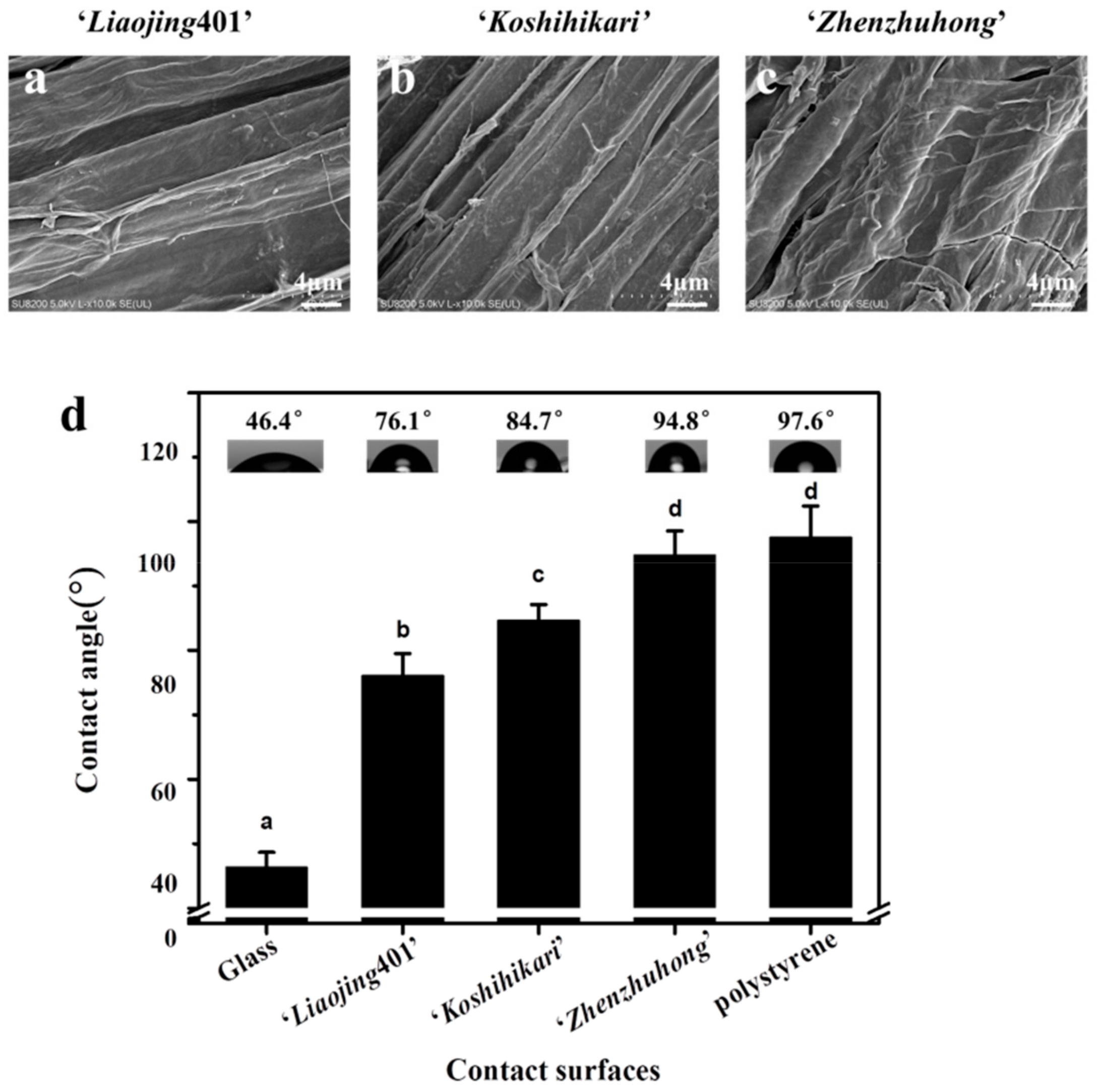 Ijerph 16 02002 g001