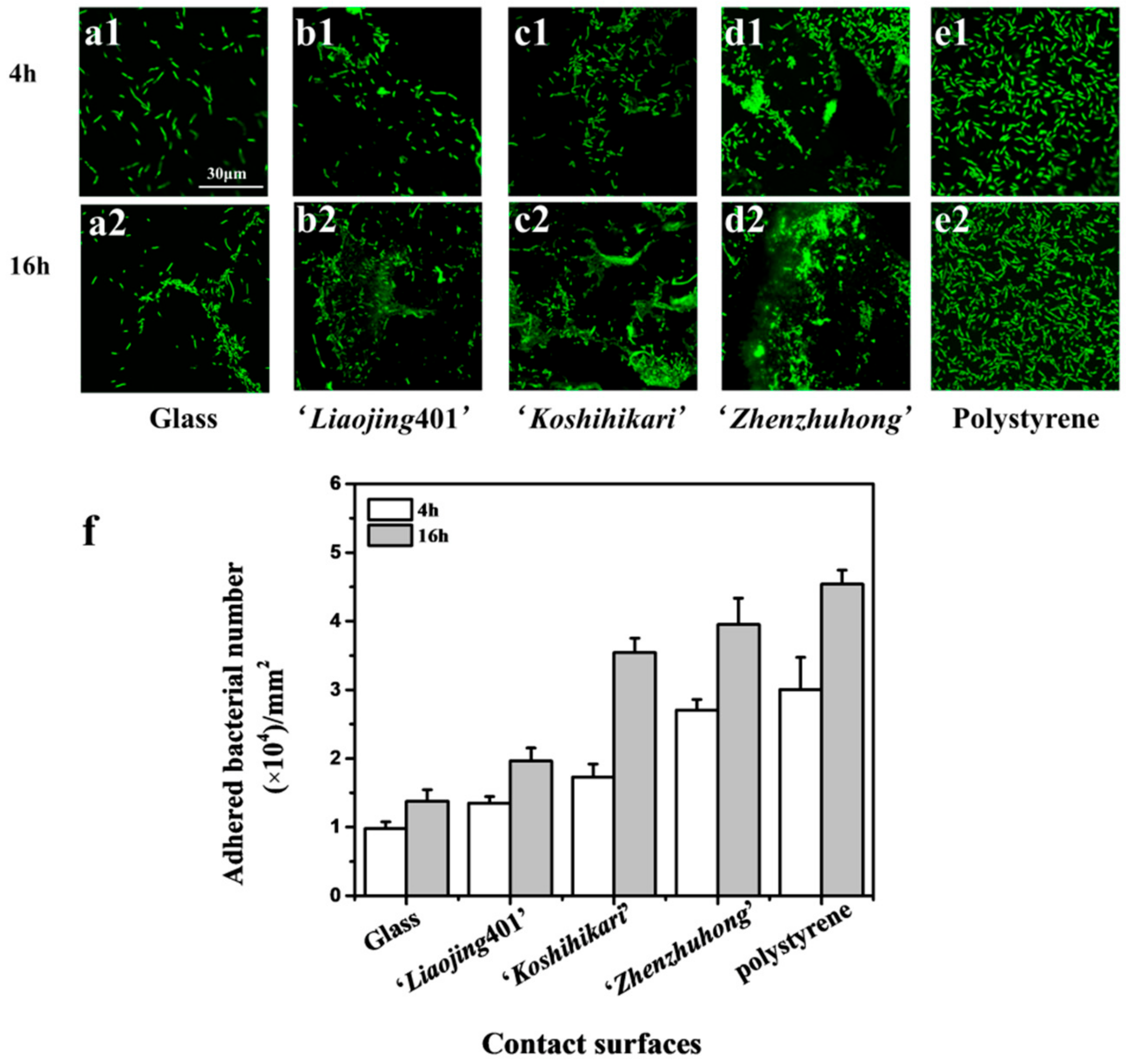 Ijerph 16 02002 g002