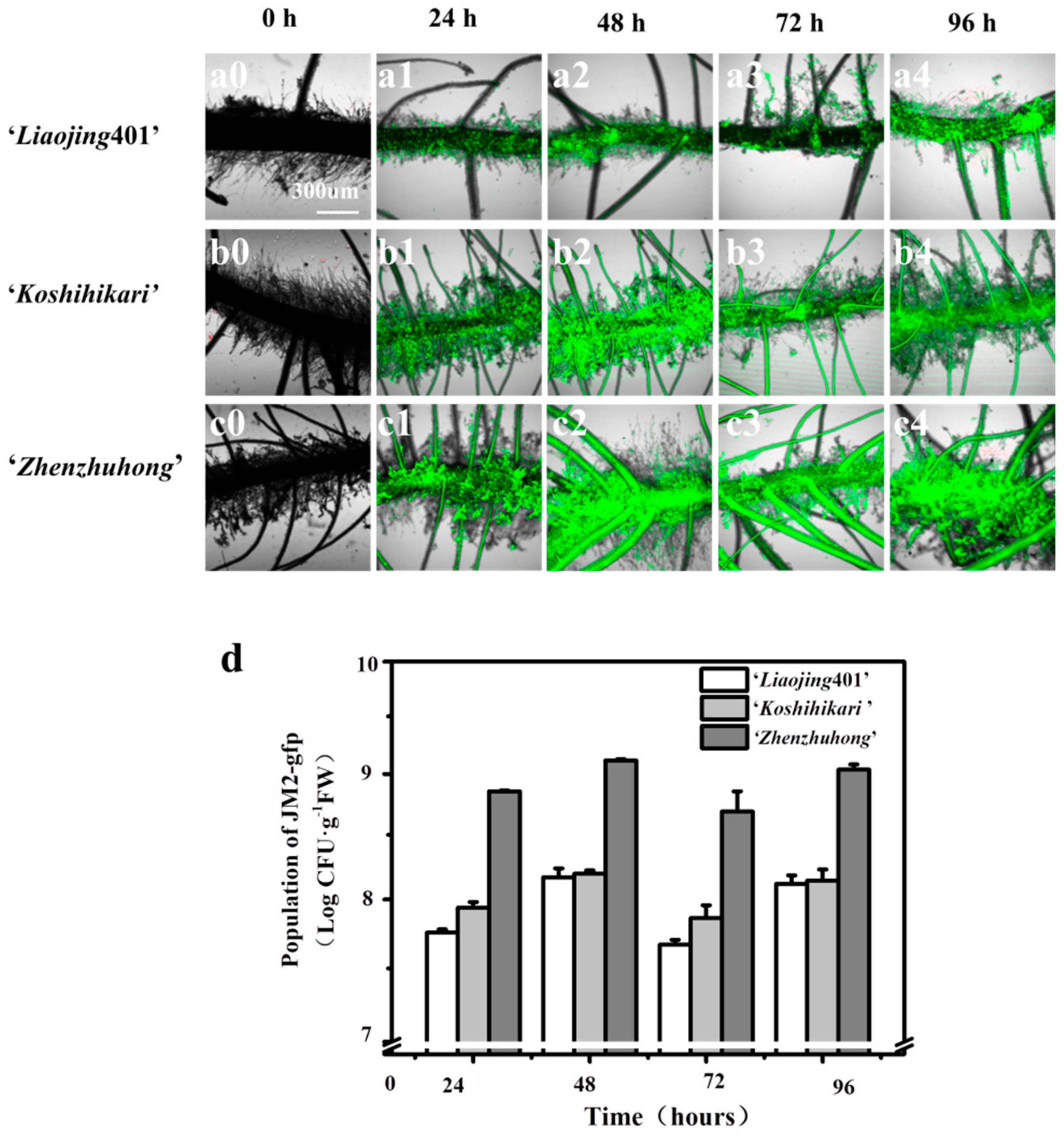 Ijerph 16 02002 g003