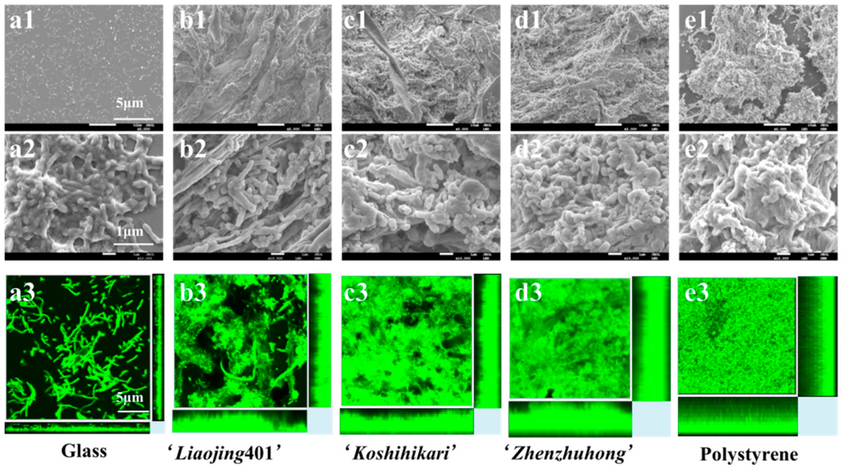 Ijerph 16 02002 g004