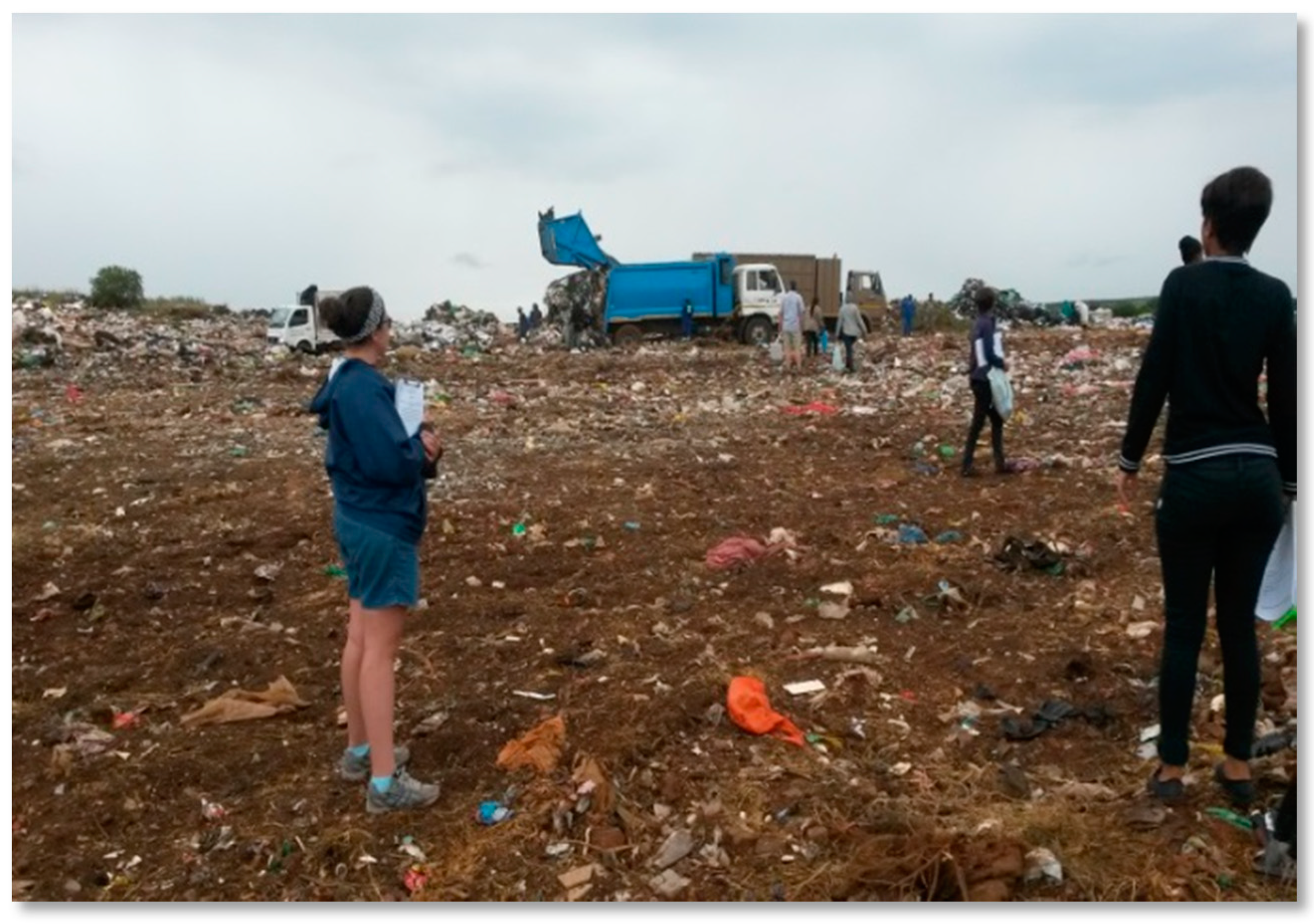 Ijerph 16 02059 g004 550