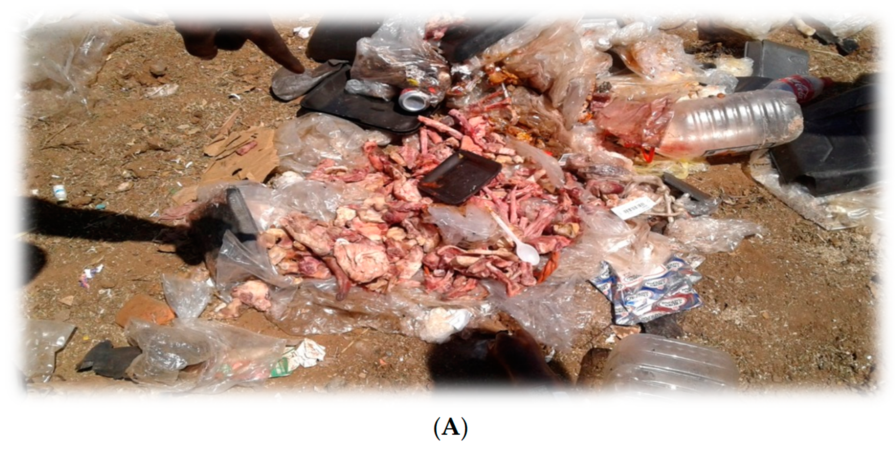 Ijerph 16 02059 g006a 550