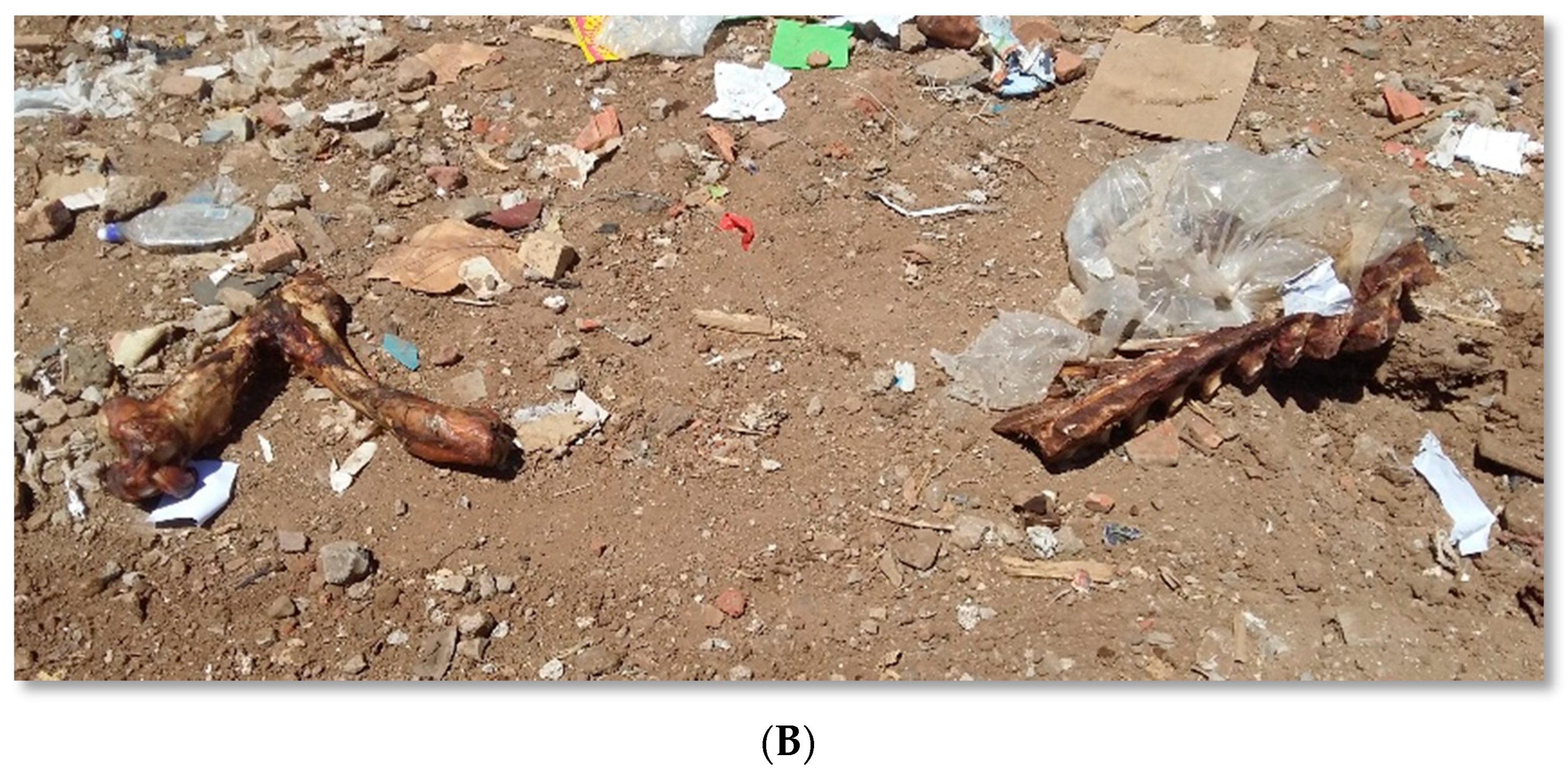 Ijerph 16 02059 g006b 550