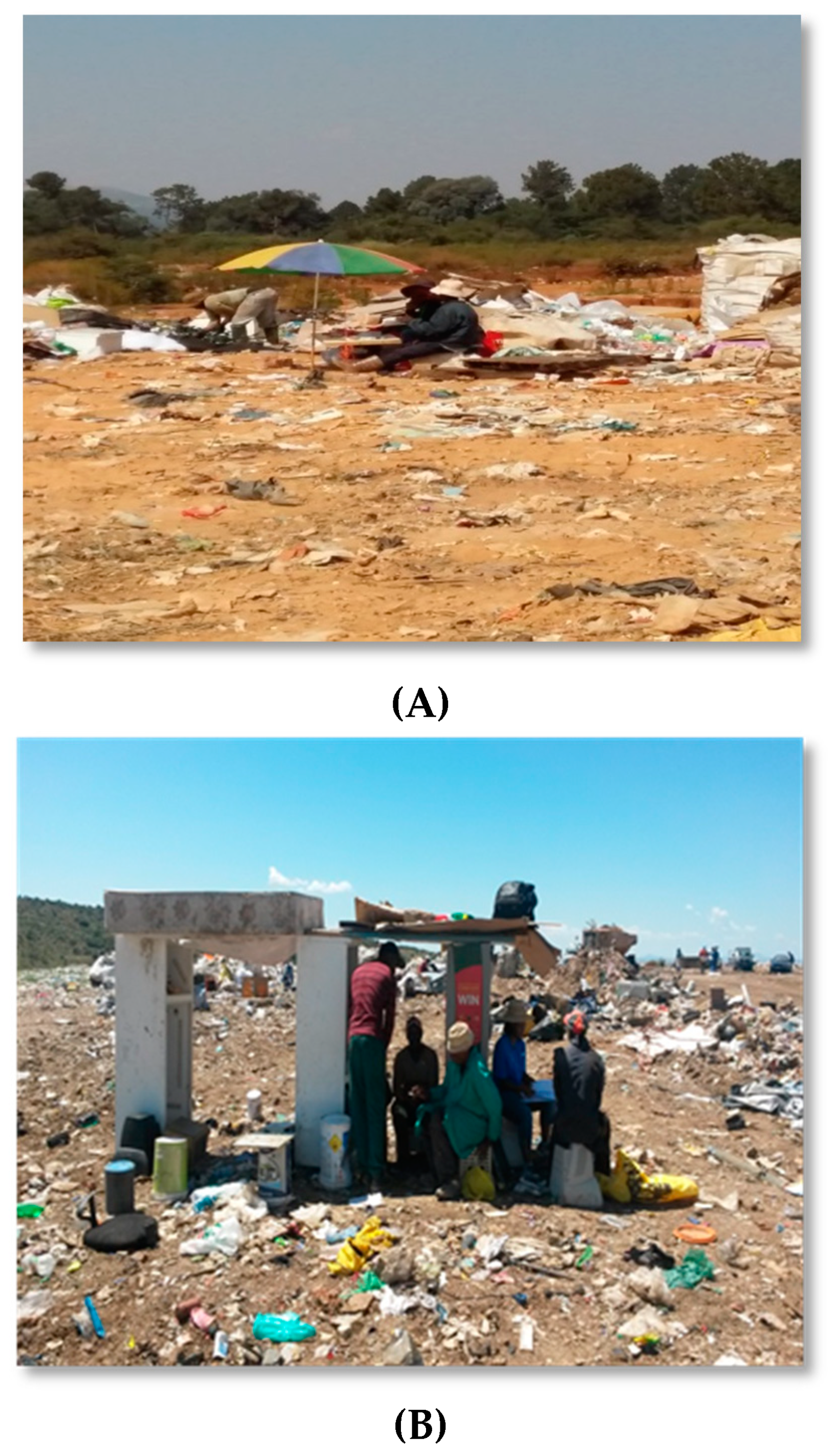 Ijerph 16 02059 g008 550