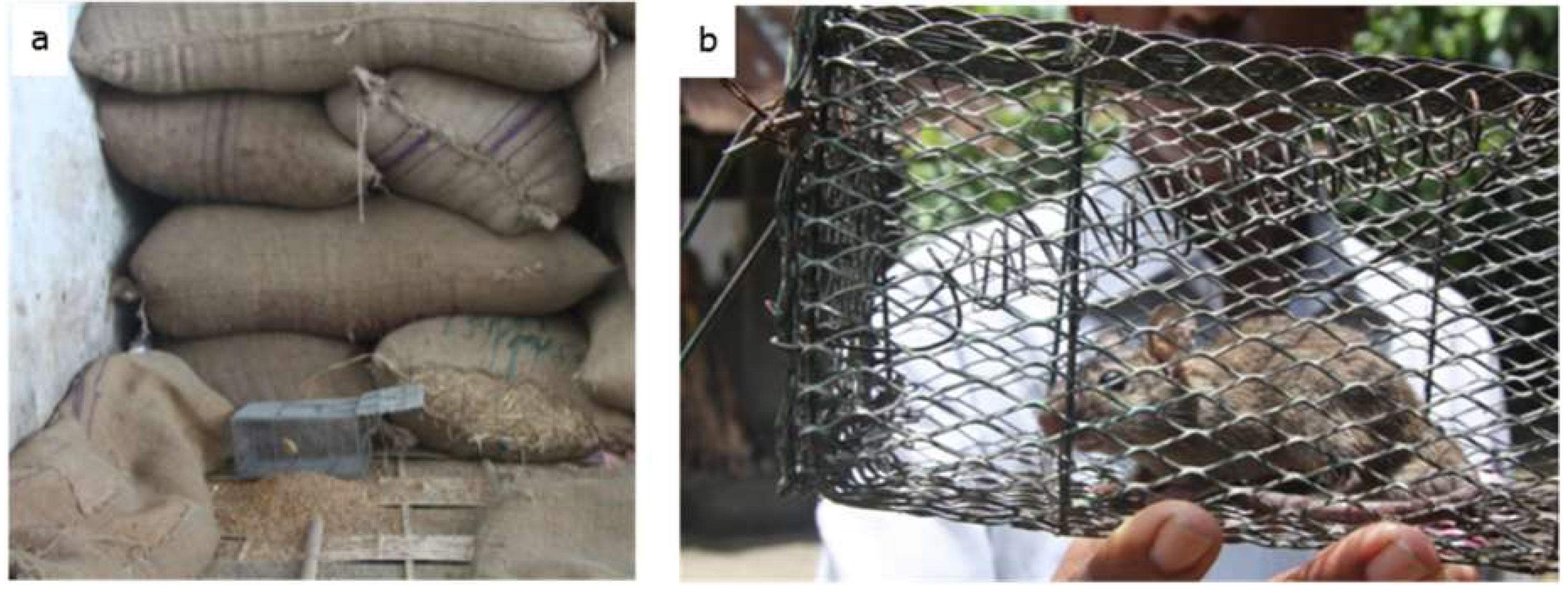 Ijerph 16 02113 g001 Ijerph 16 02113 g001