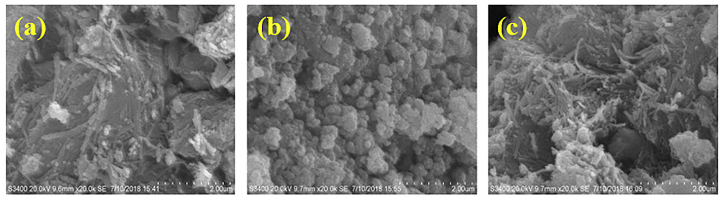 Ijerph 16 02187 g001