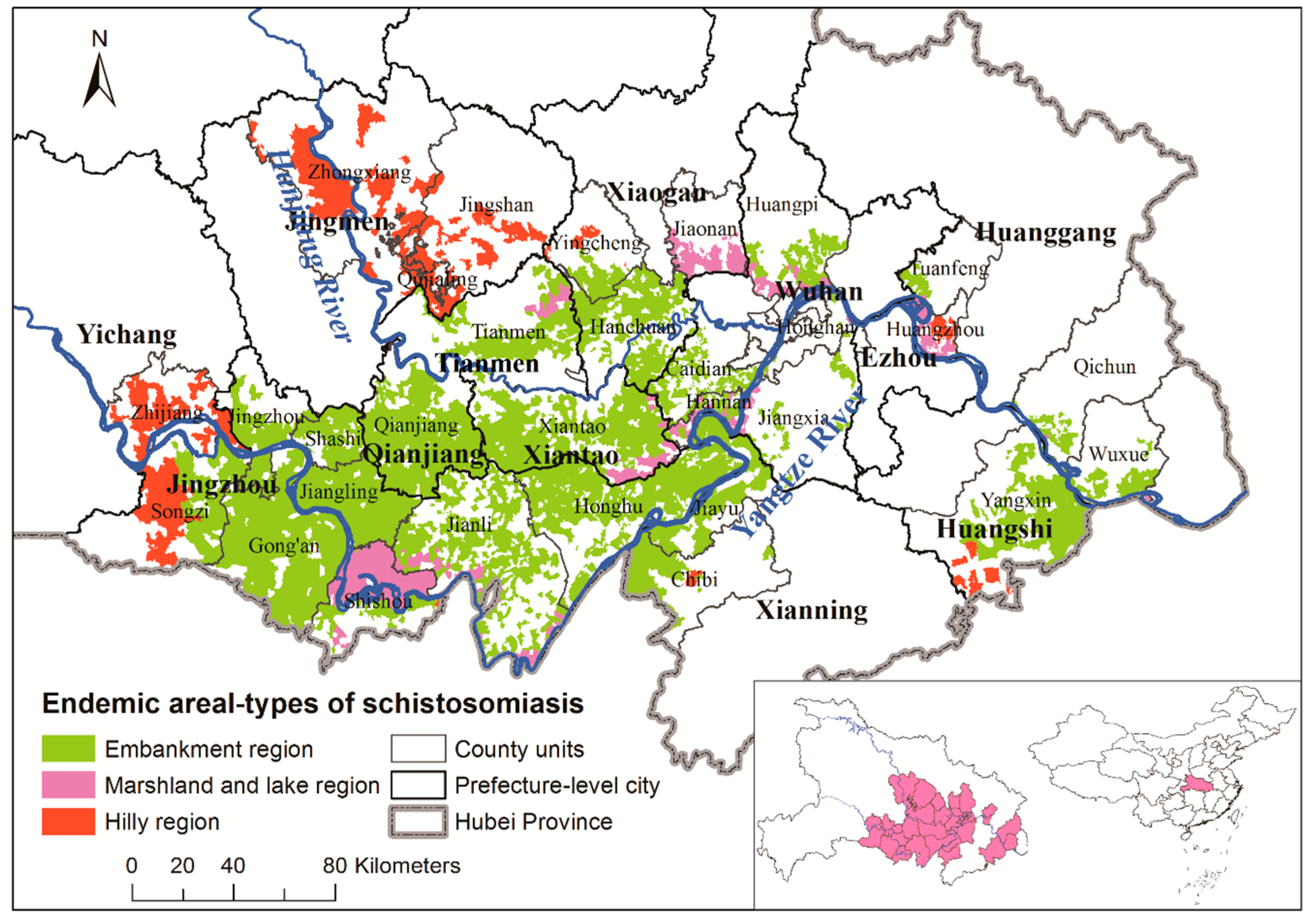schistosomiasis epidemiológia 2022 condyloma férfiaknál a szemérem oldalán