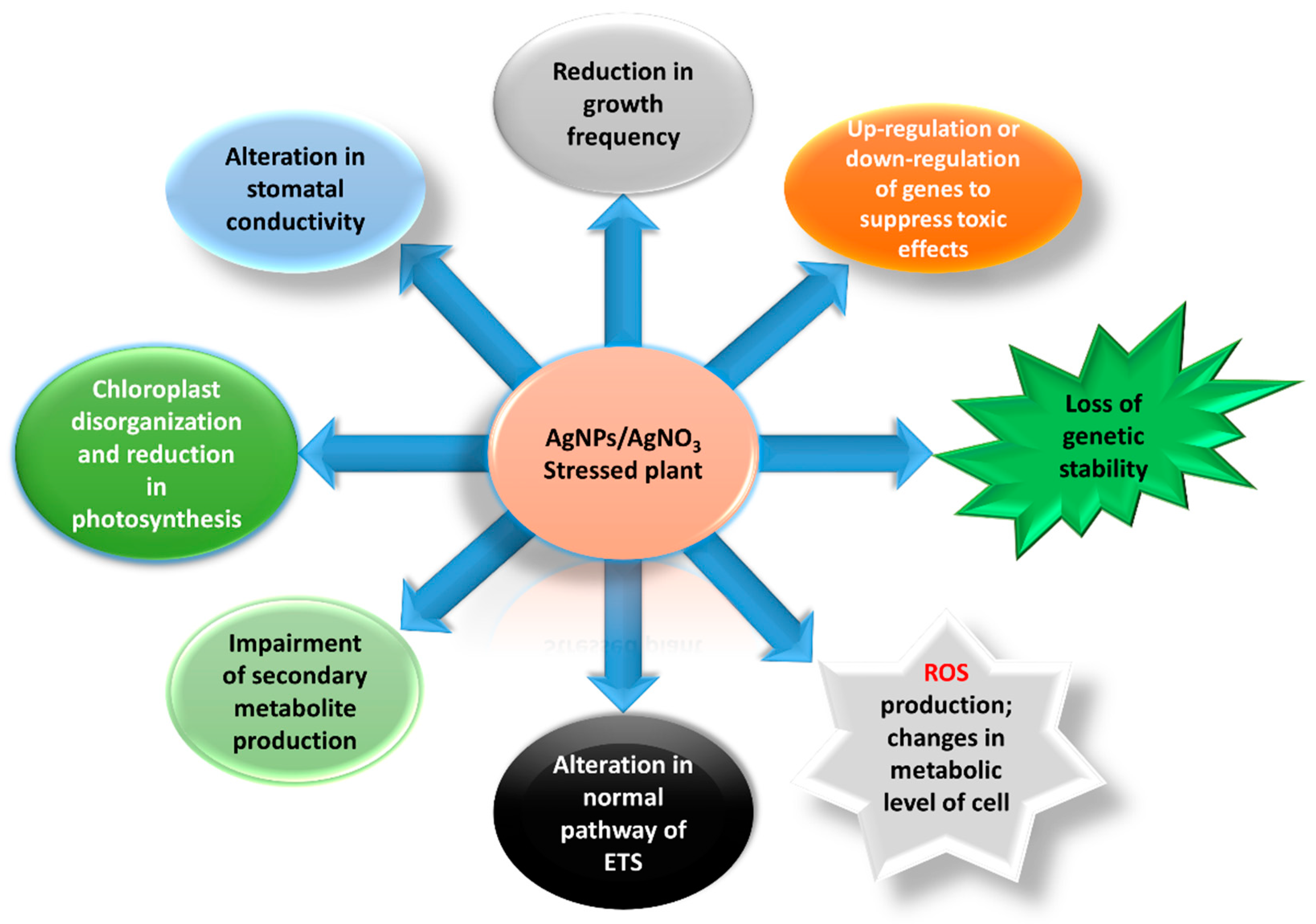 Ijerph 16 02261 g002 Ijerph 16 02261 g002