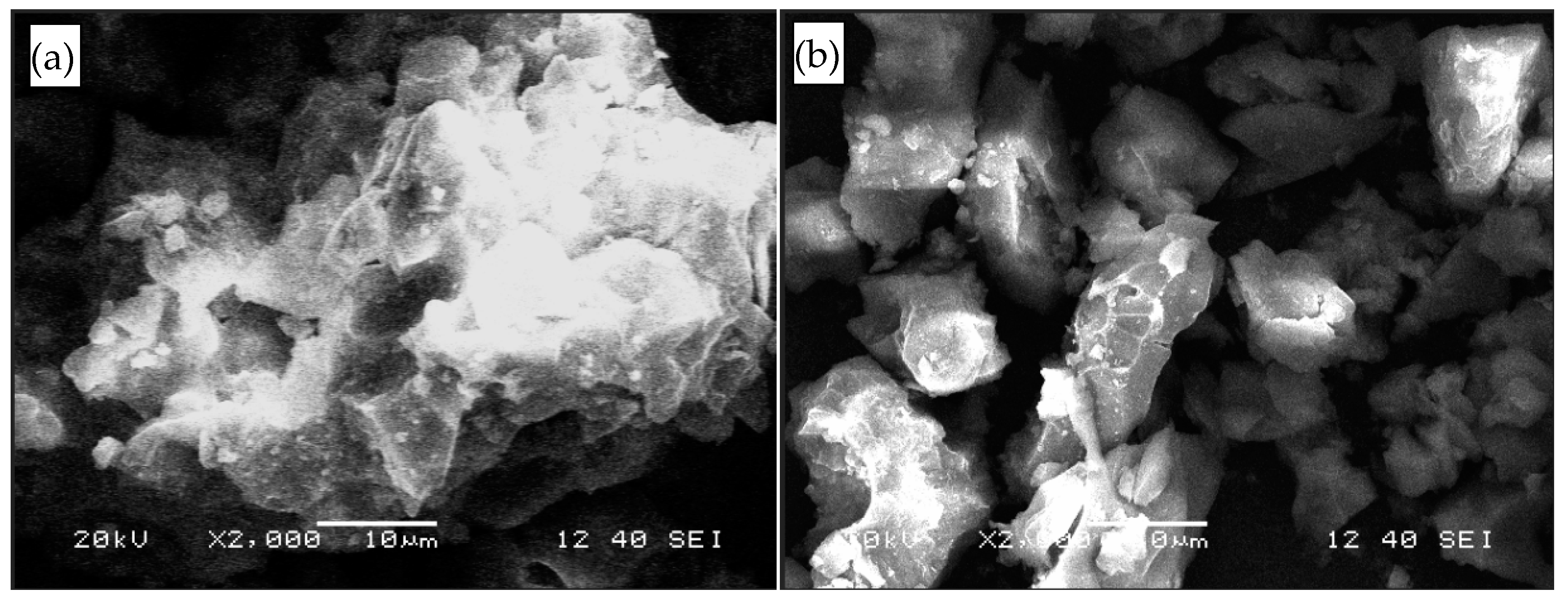 Ijerph 16 02355 g007