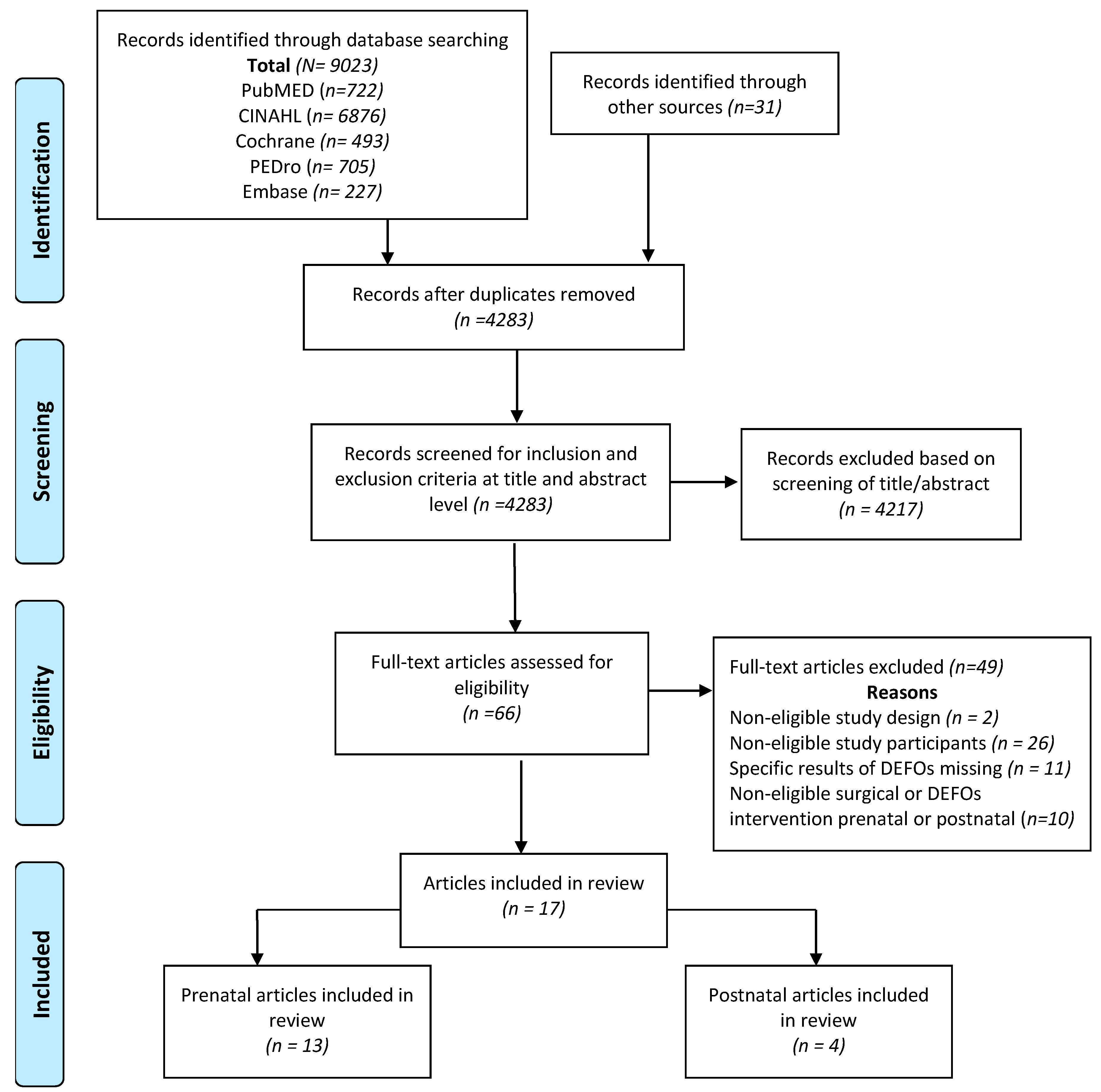 Phase 4 Orthotics Size Chart