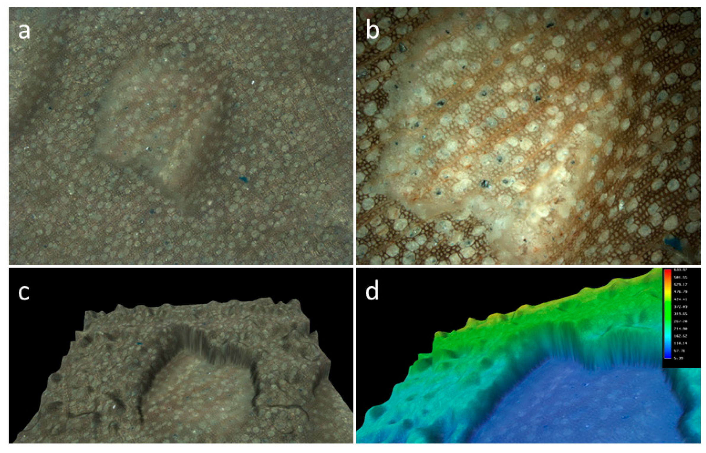 Ijerph 16 02434 g005