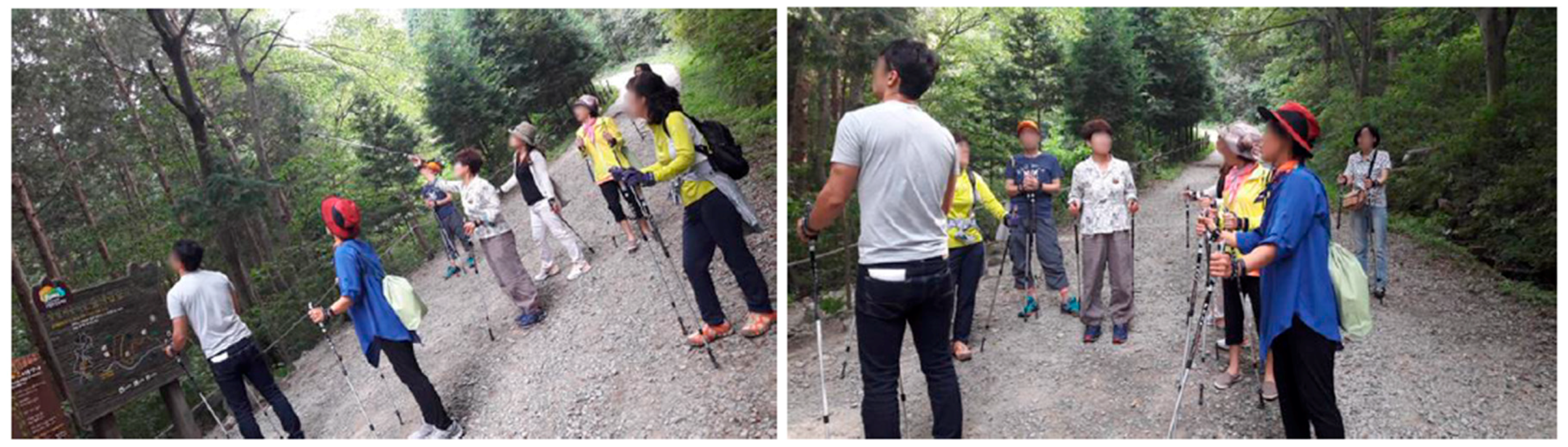 Ijerph 16 02449 g002