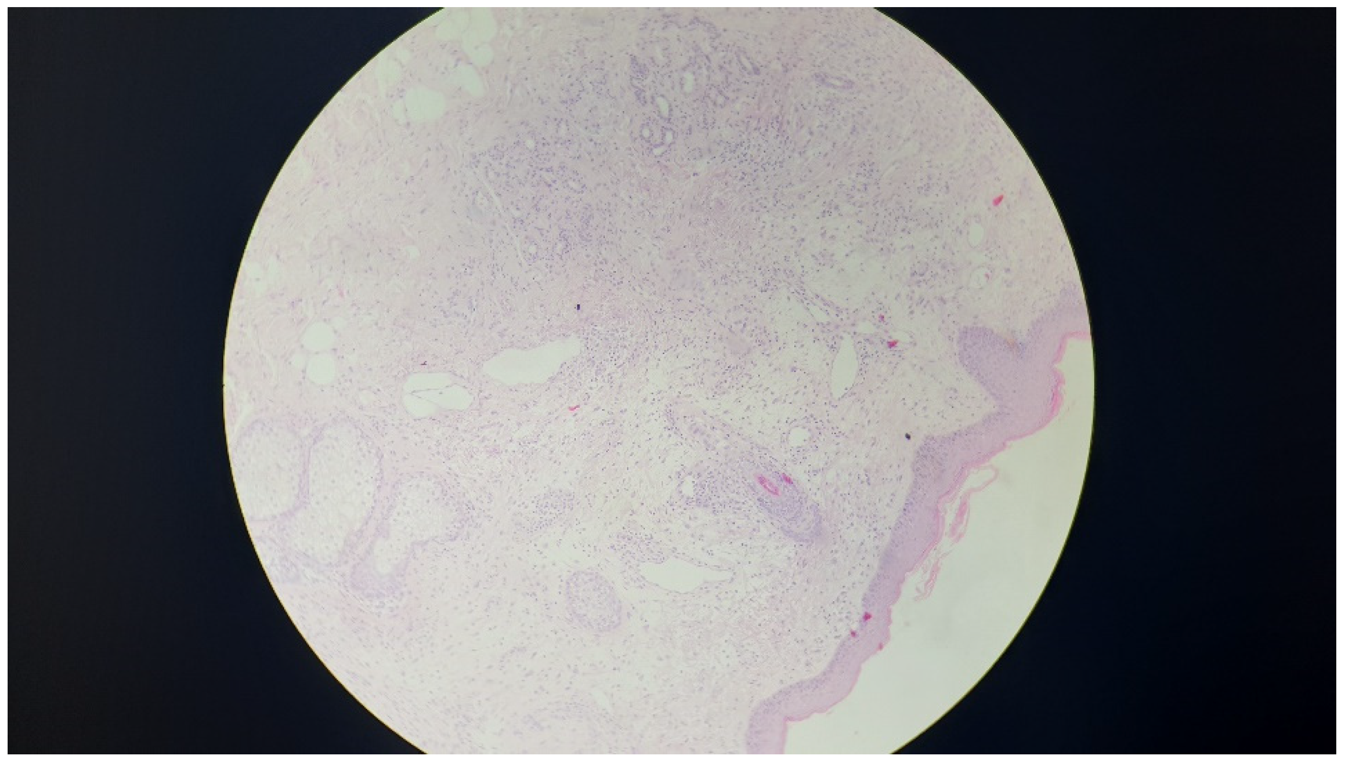 Ijerph 16 02471 g001