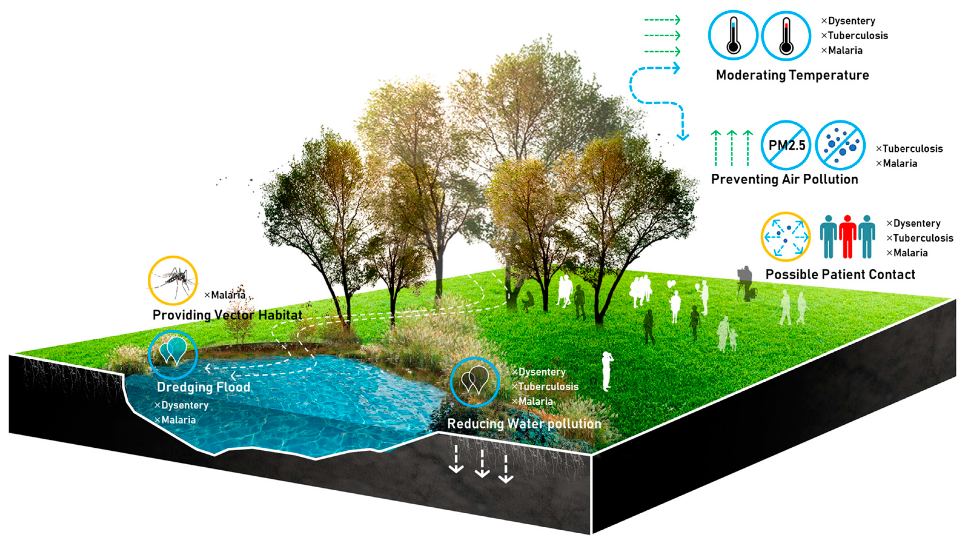 Ijerph 16 02551 g002