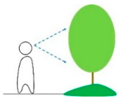 Ijerph 16 02629 i007