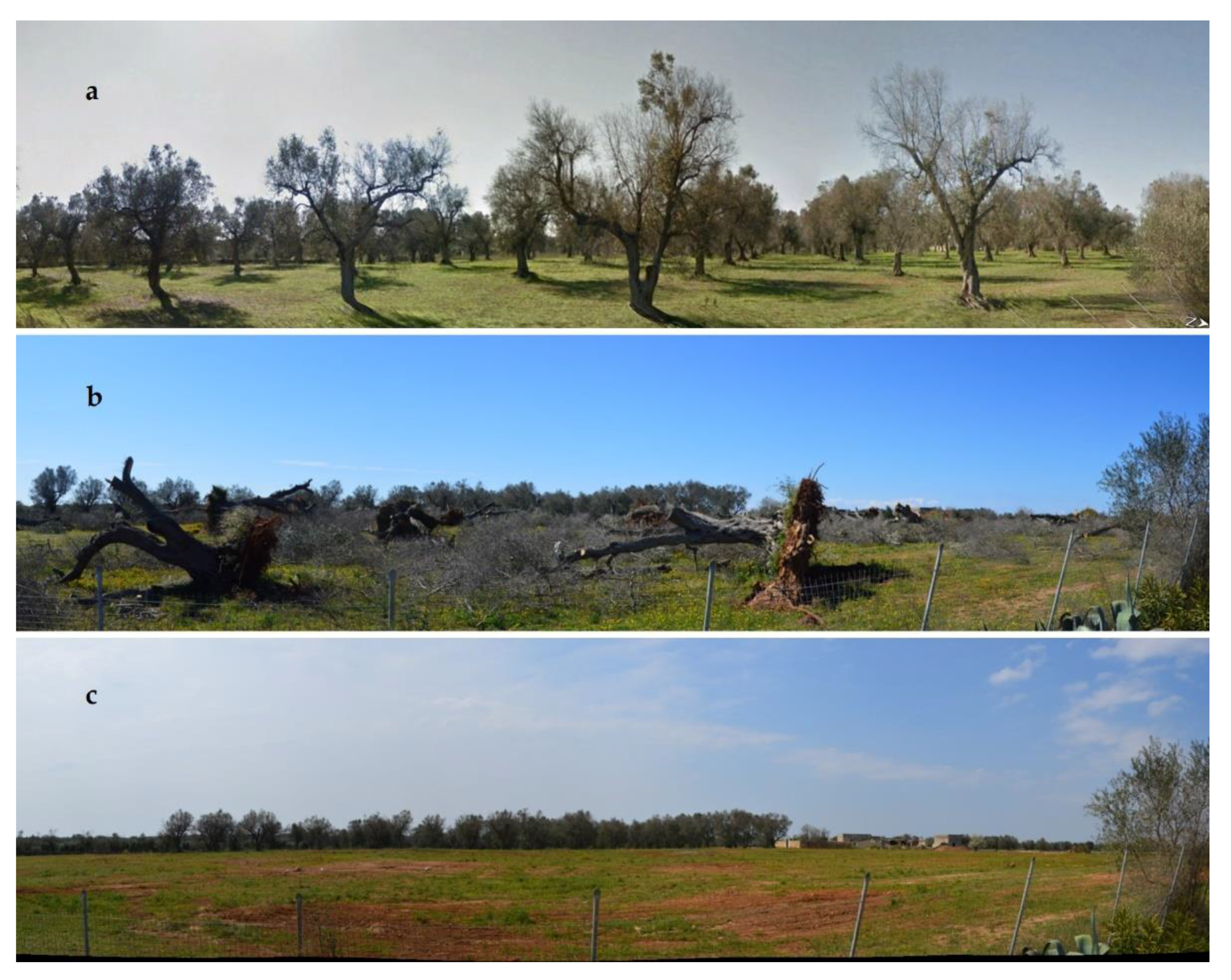 Ijerph 16 02642 g002 Ijerph 16 02642 g002