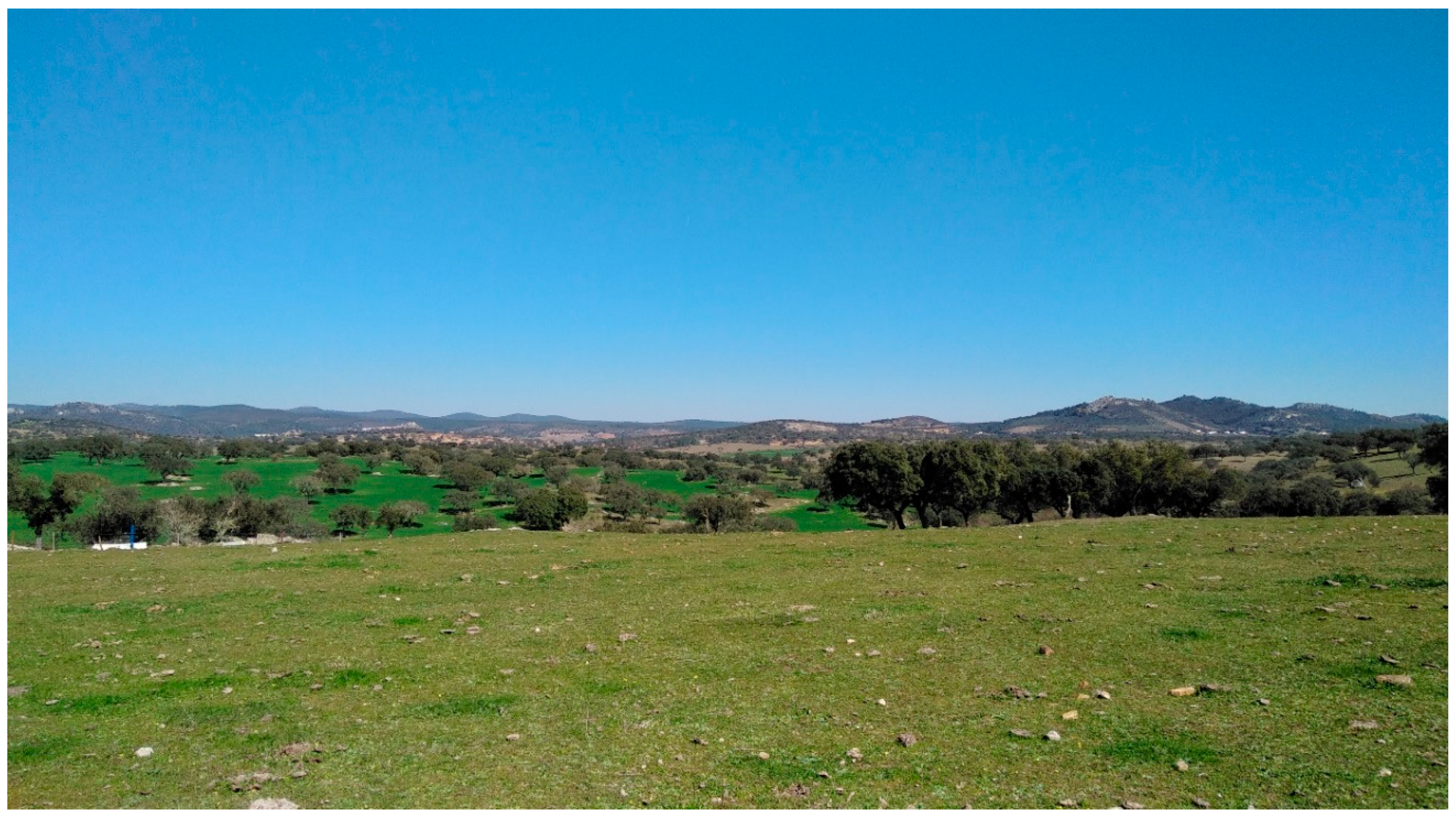 Ijerph 16 02693 g004 Ijerph 16 02693 g004