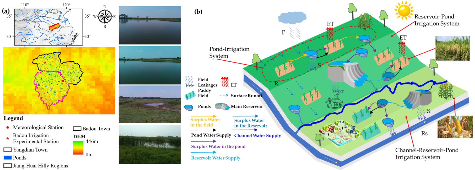 Ijerph 16 02717 g001