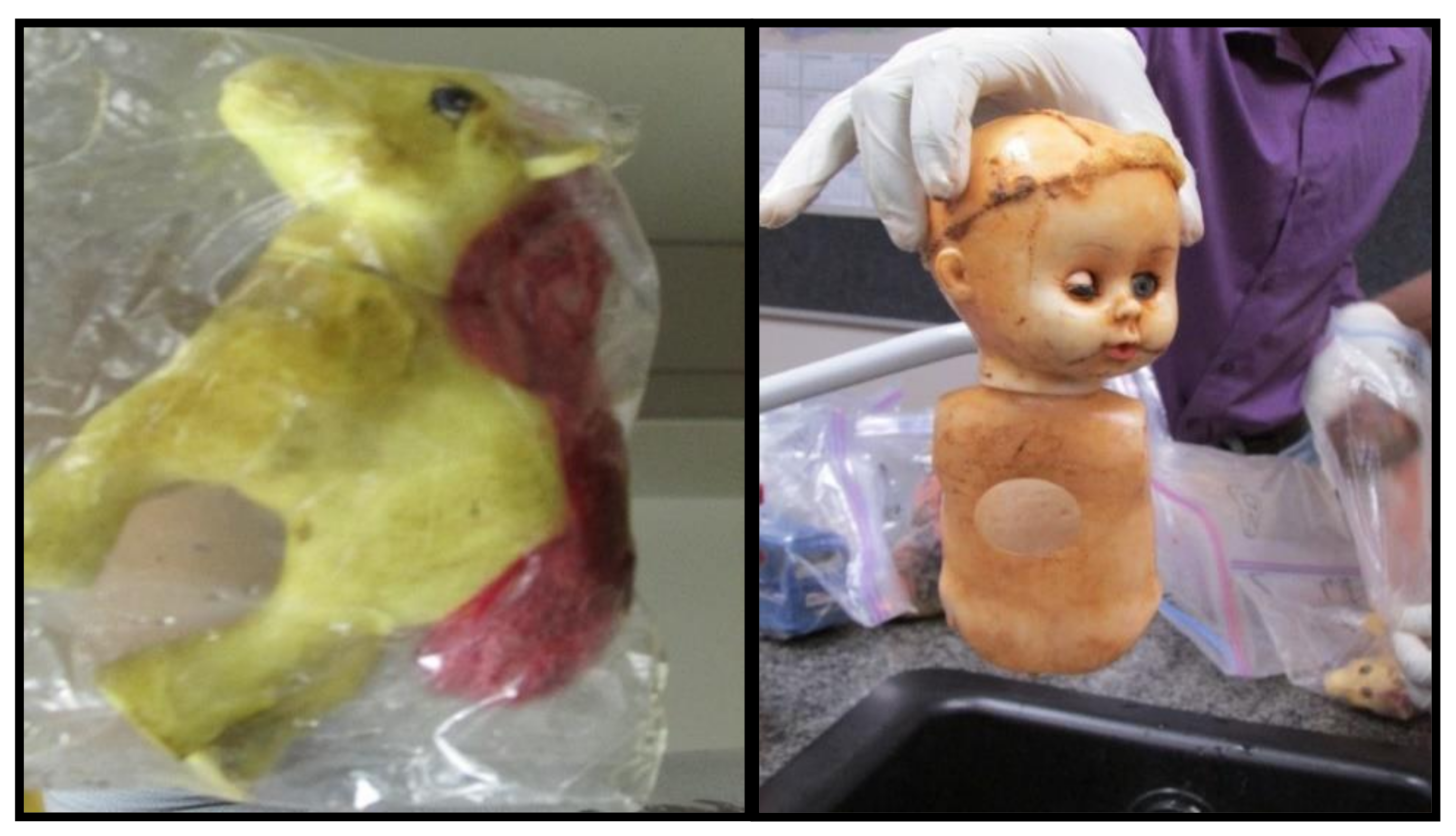 Ijerph 16 02900 g001