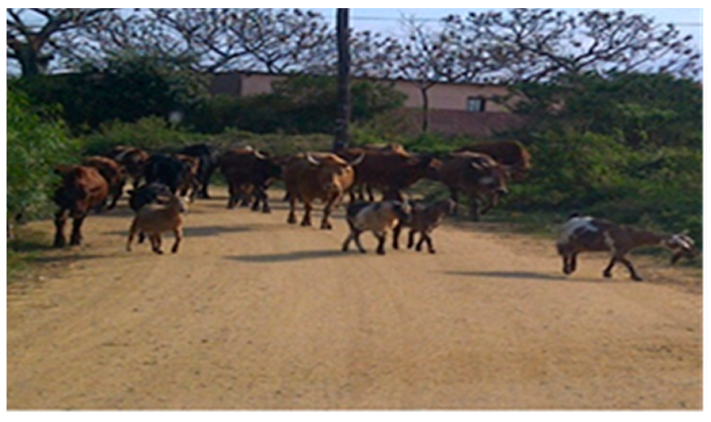 Ijerph 16 02972 g005