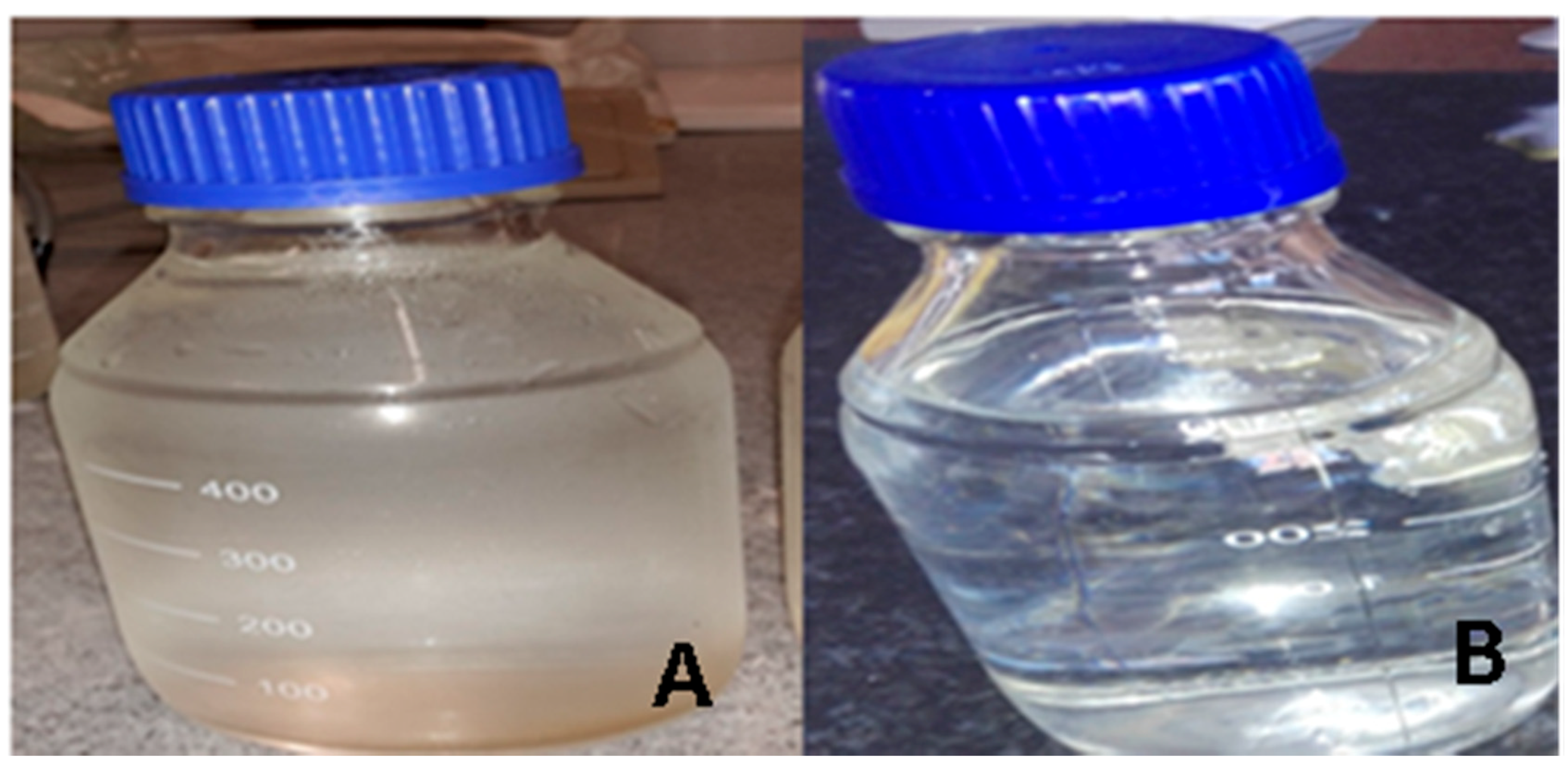 Ijerph 16 02972 g009