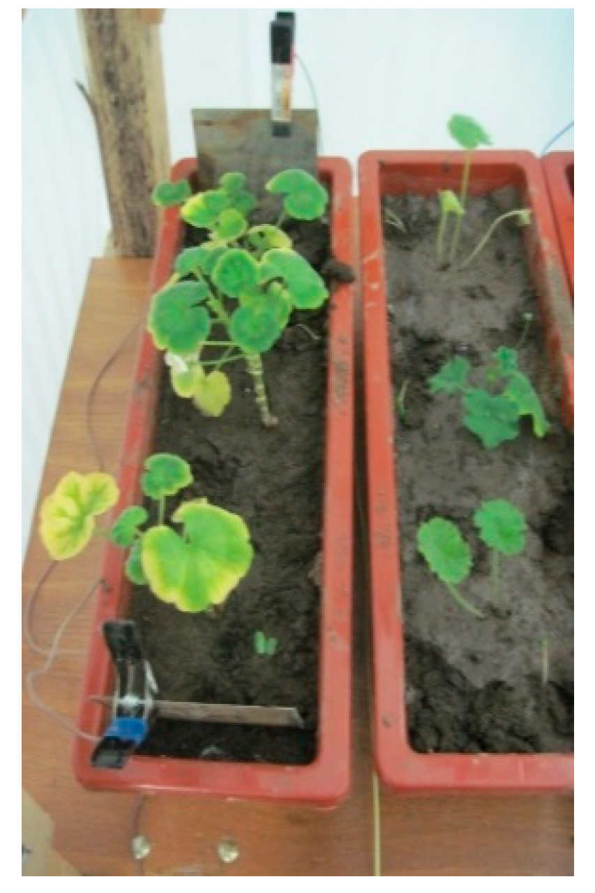 Ijerph 16 03179 g002