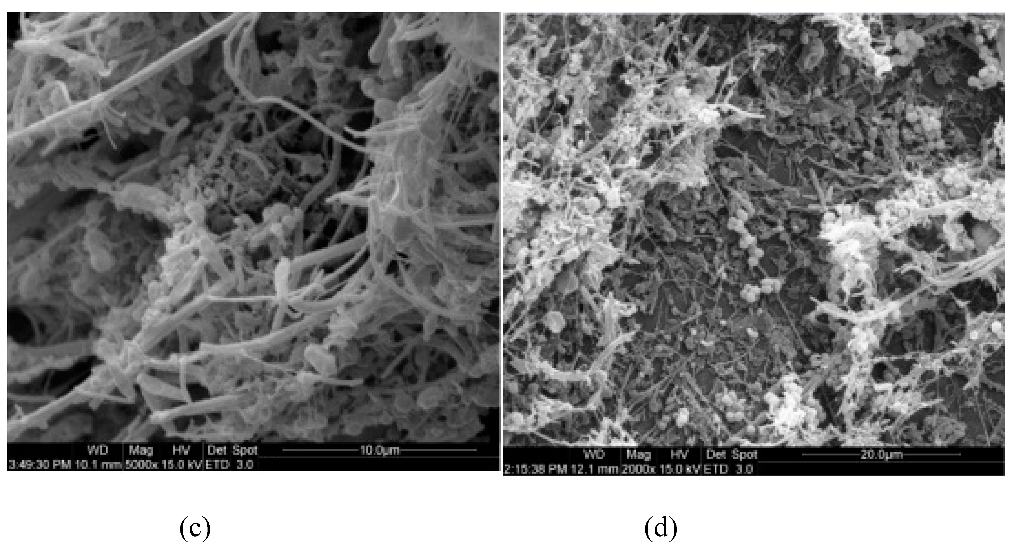 Ijerph 16 03244 g003b