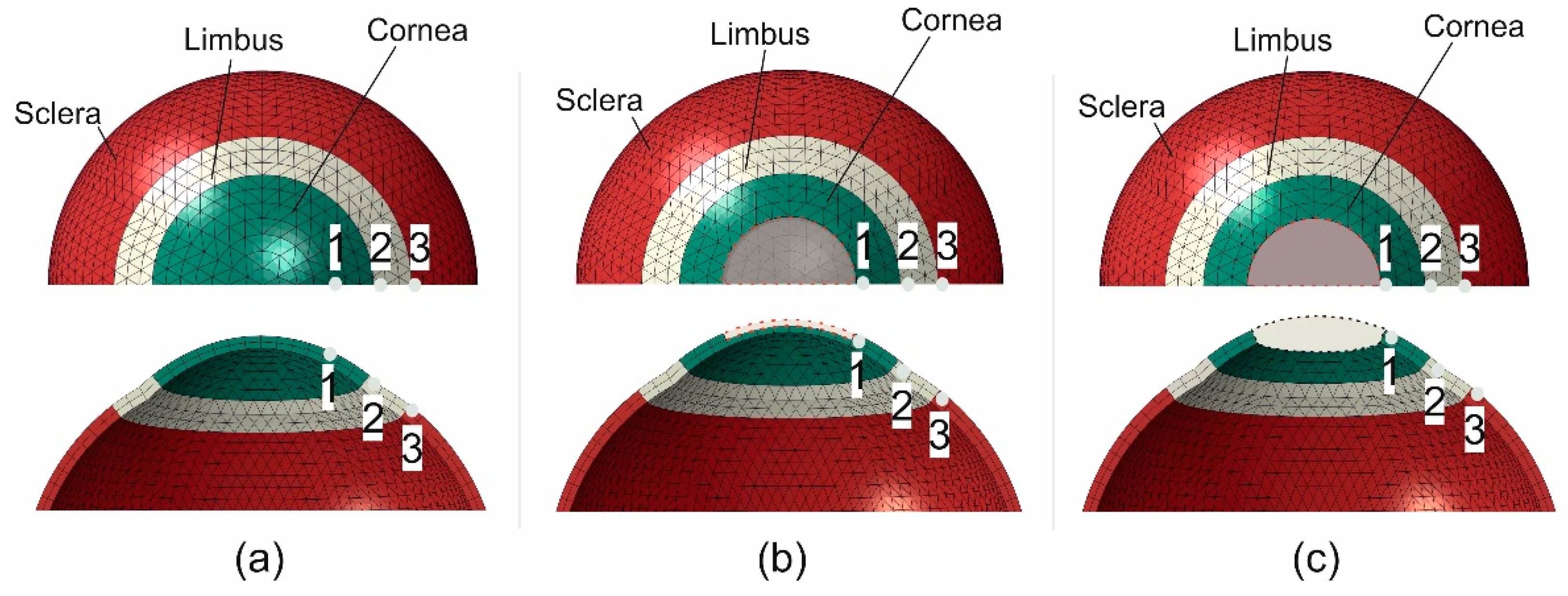 Ijerph 16 03278 g005