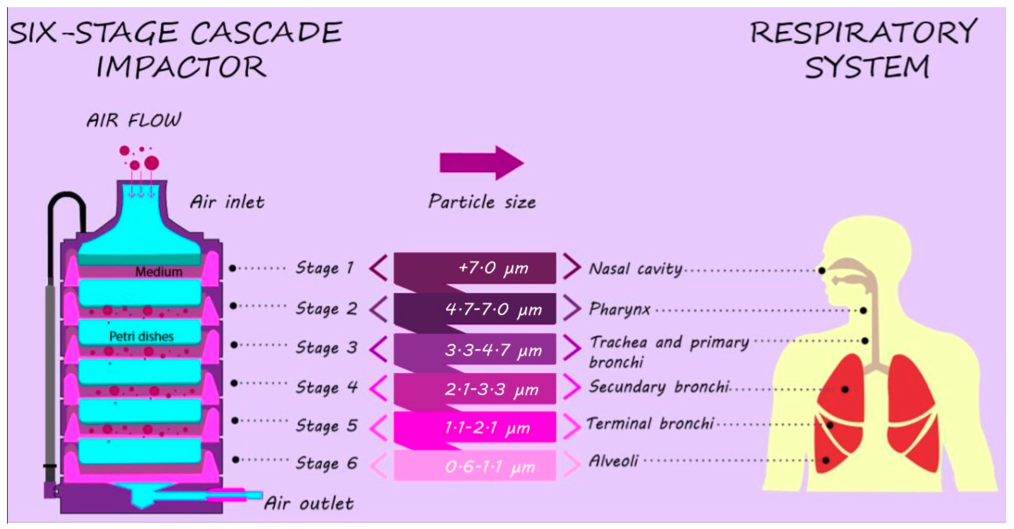 Ijerph 16 03340 g002
