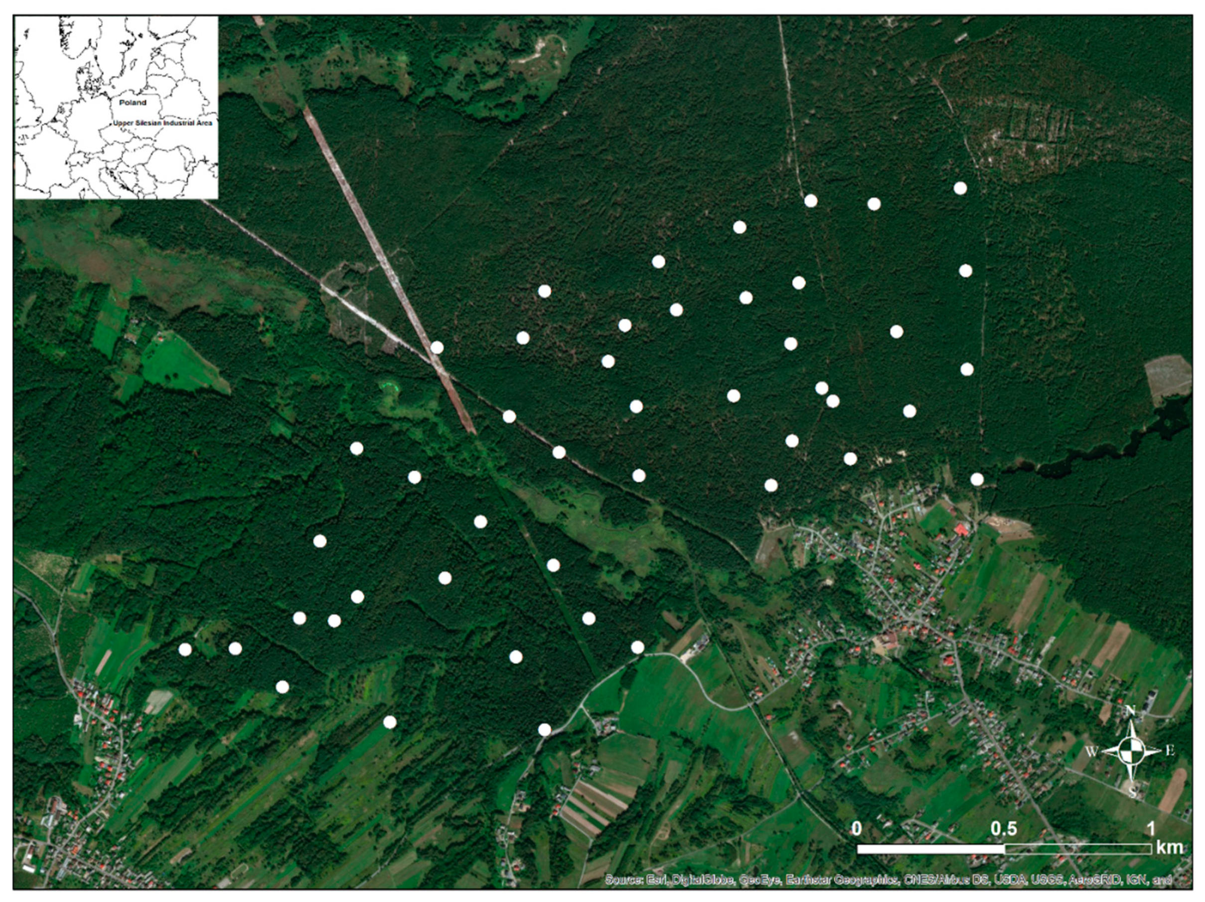 Ijerph 16 03497 g001 550