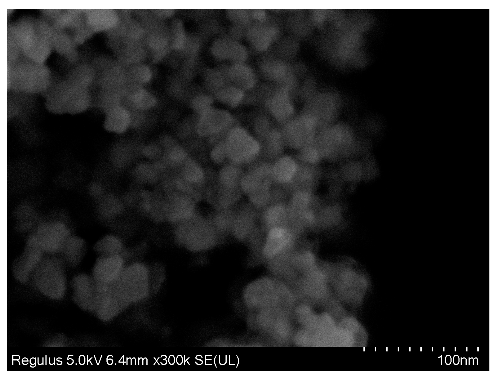 Ijerph 16 03609 g001