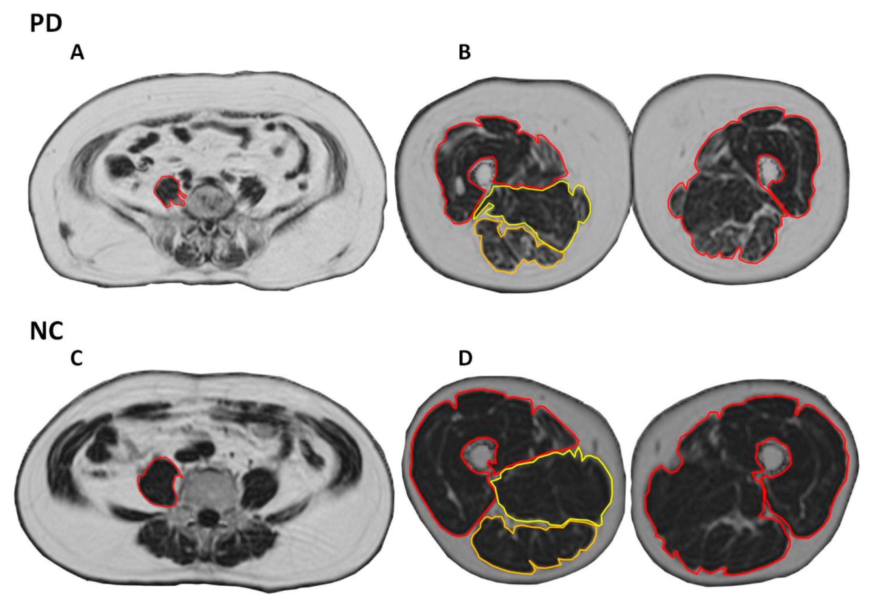 Ijerph 16 03667 g001