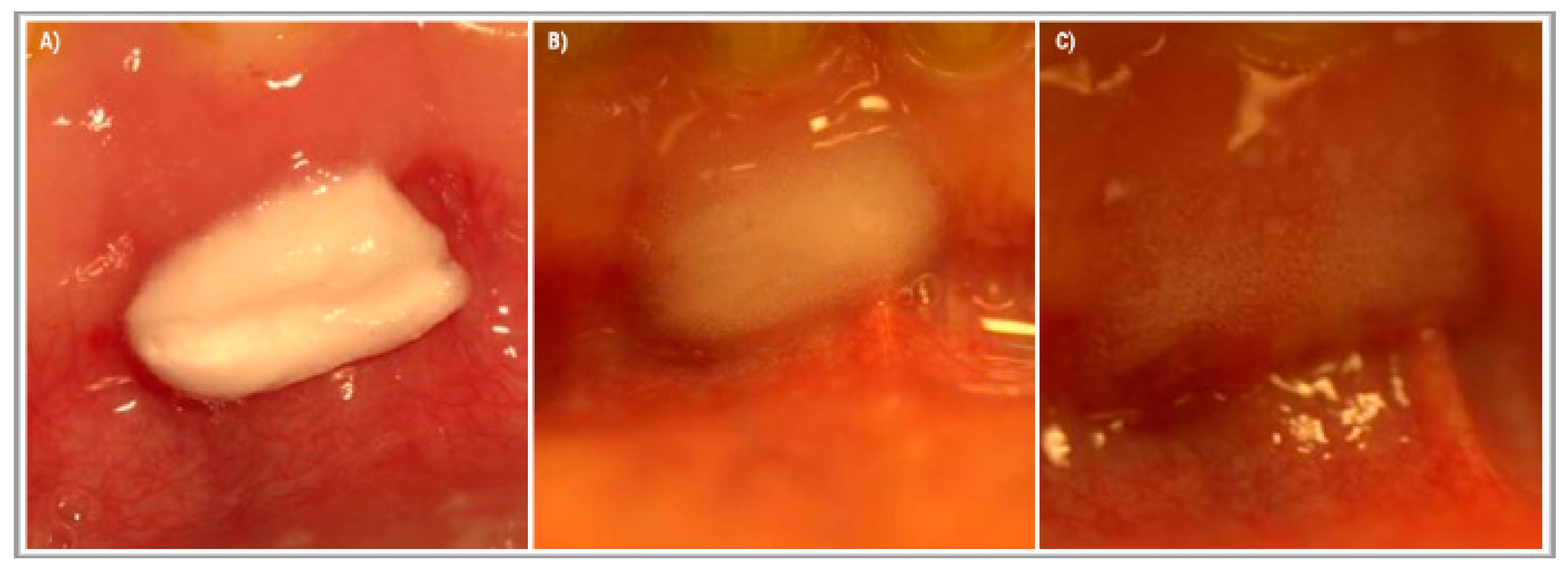 Ijerph 16 03698 g003 550