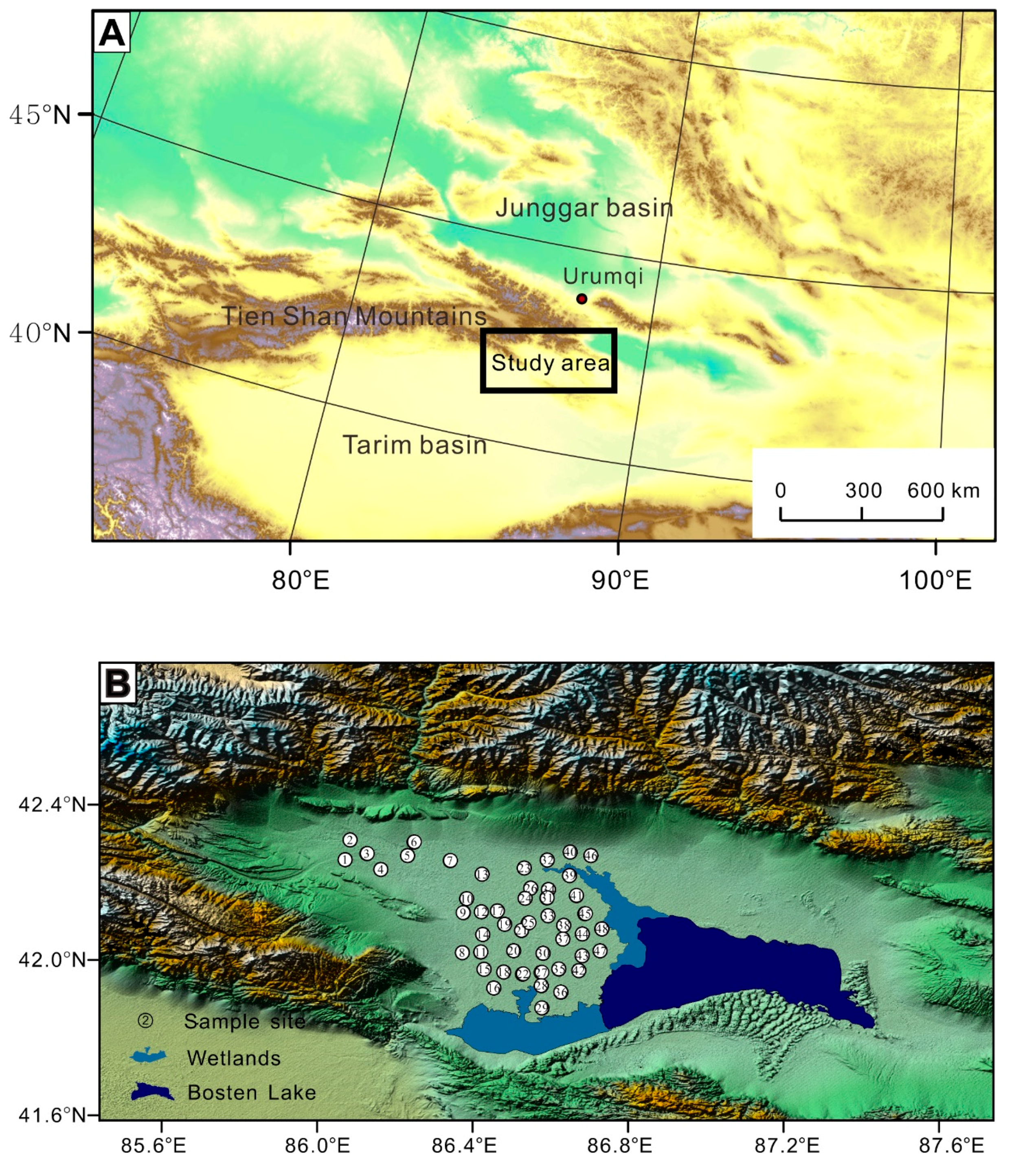 Ijerph 16 03741 g001